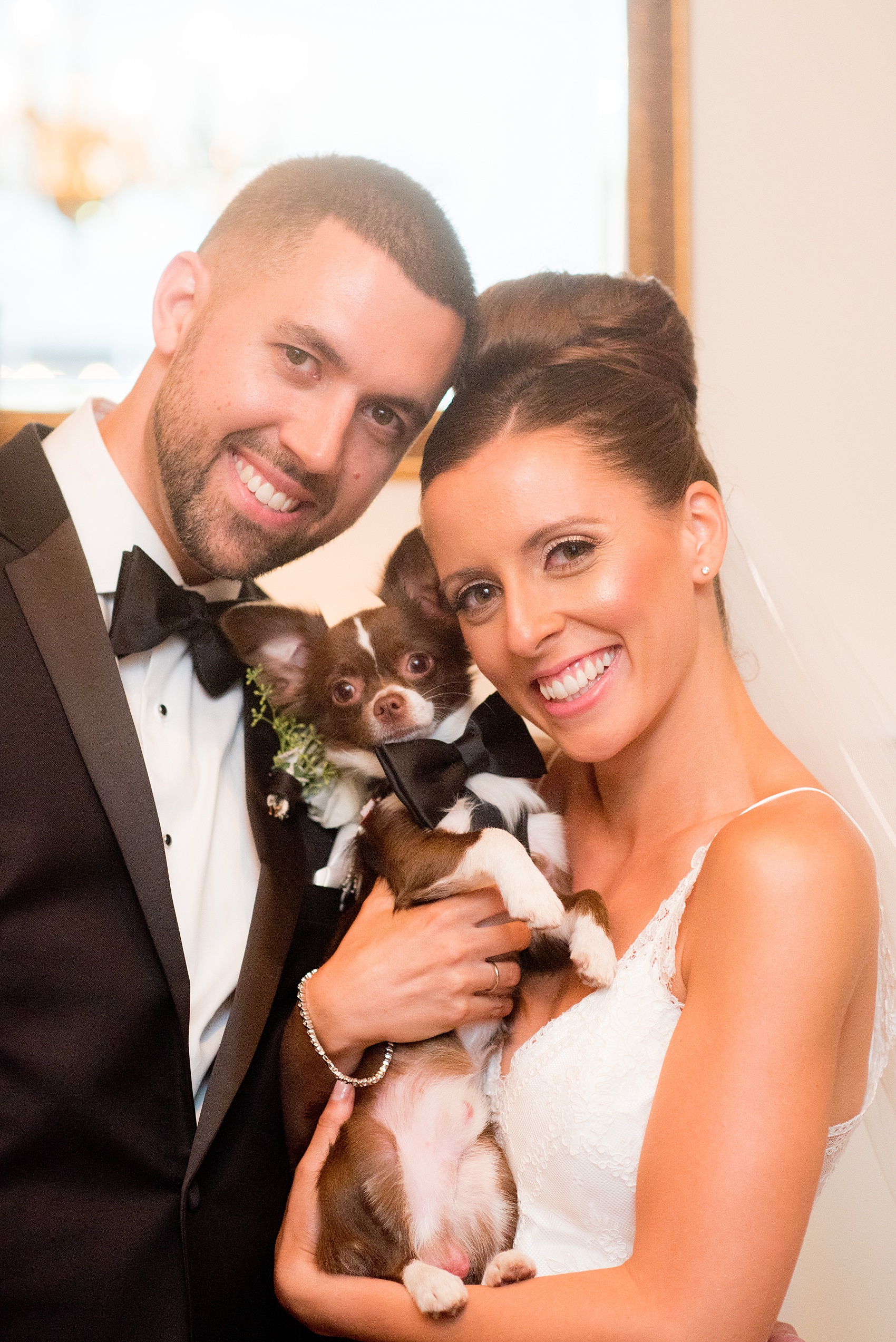 Mikkel Paige Photography photos of a luxury wedding in NYC. Image of the bride and groom's at India House in lower Manhattan with their dog in a bow tie.