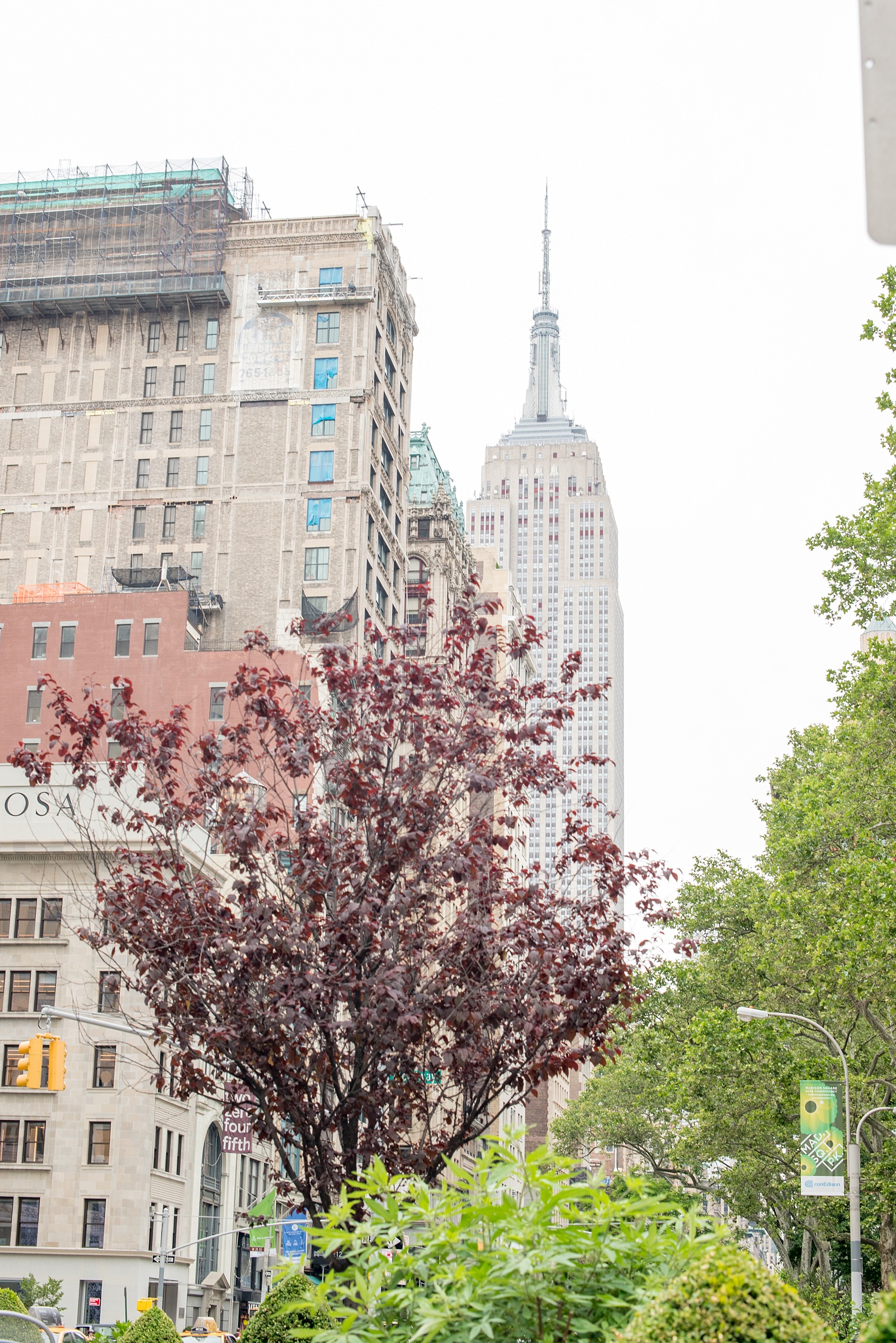 Mikkel Paige Photography photos of a Madison Square Park engagement session in NYC with a view of the Empire State Building.