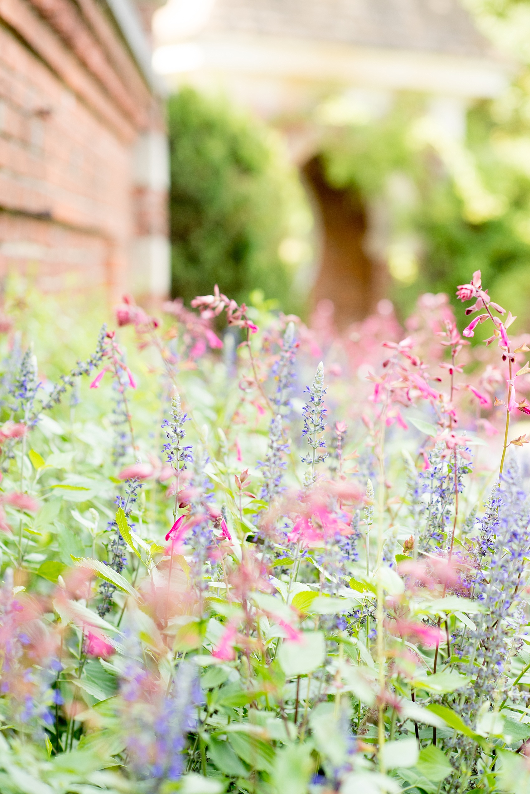 Mikkel Paige Photography photo of an Old Westbury Gardens engagement session on Long Island.