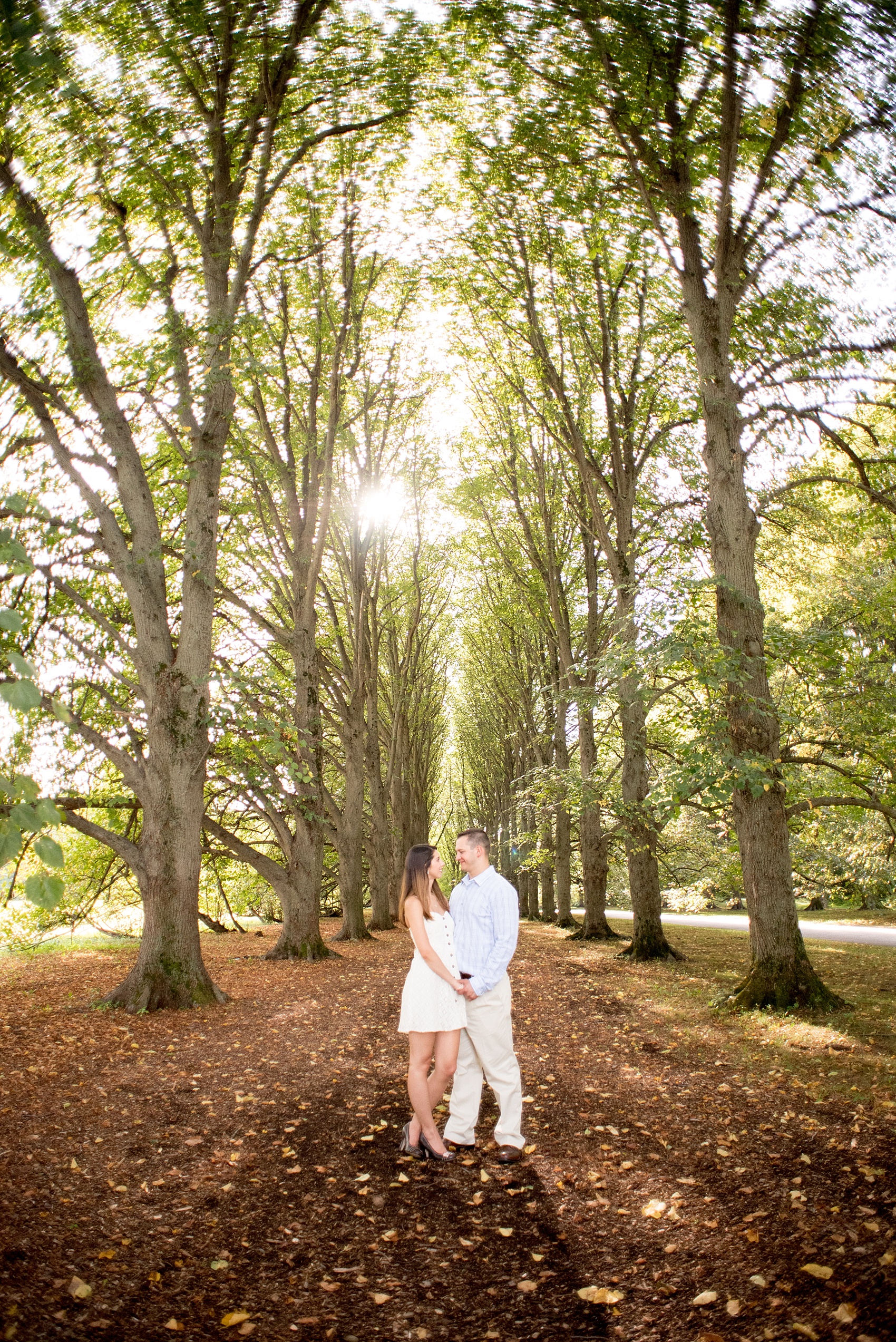 Mikkel Paige Photography photo of an Old Westbury Gardens engagement session on Long Island.