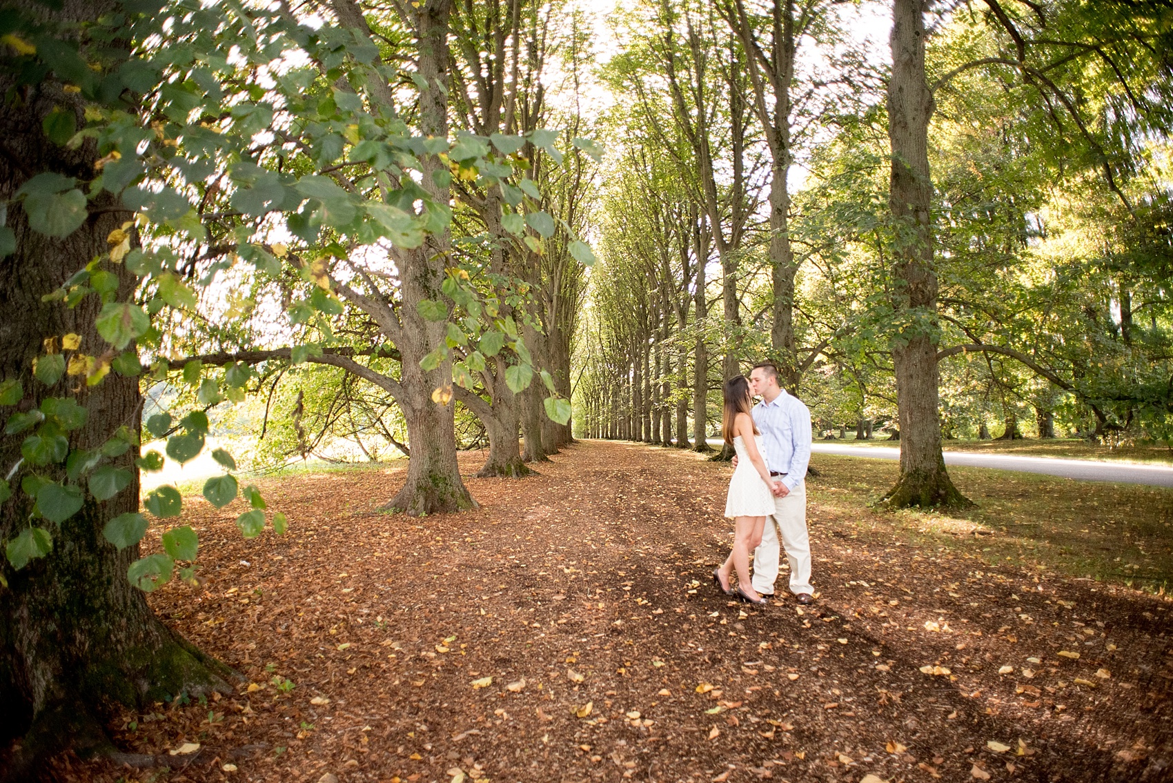 Mikkel Paige Photography photo of an Old Westbury Gardens woodsy engagement session on Long Island.