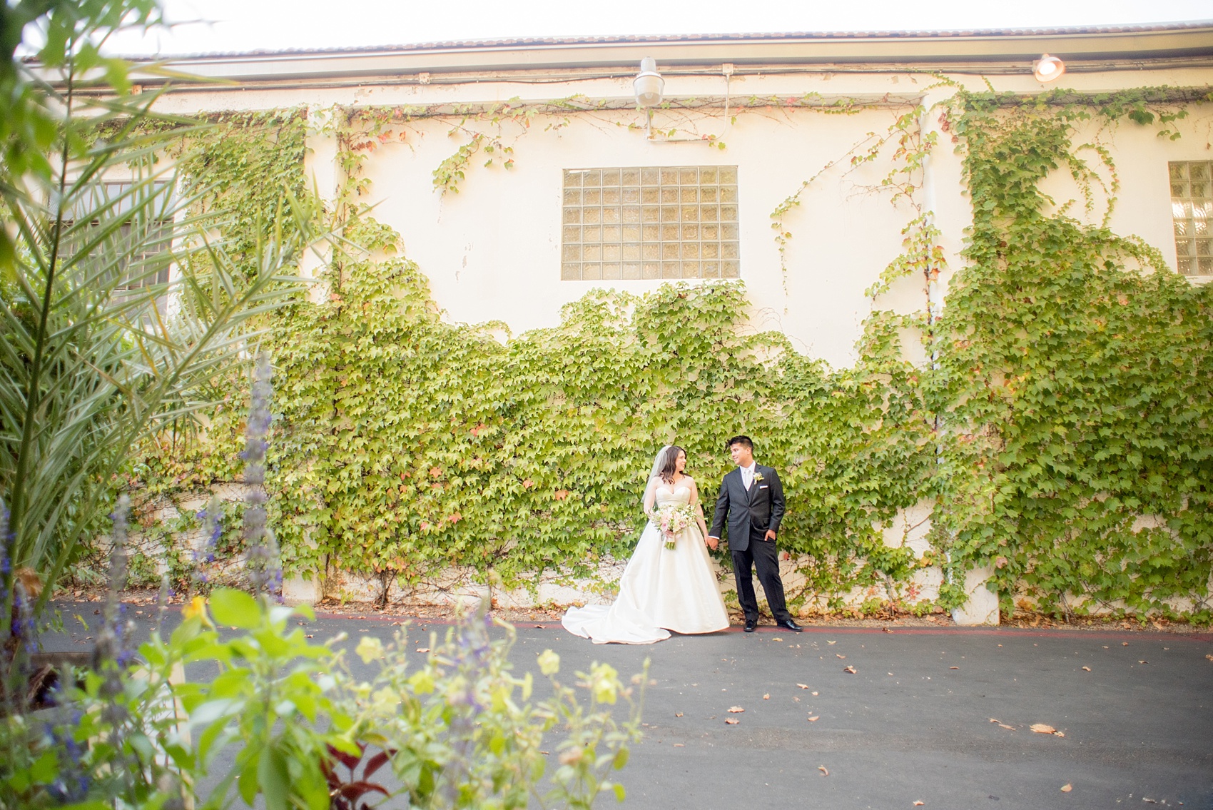 Mikkel Paige Photography photo of the bride and groom at their wedding at Testarossa Winery in Los Gatos, California.