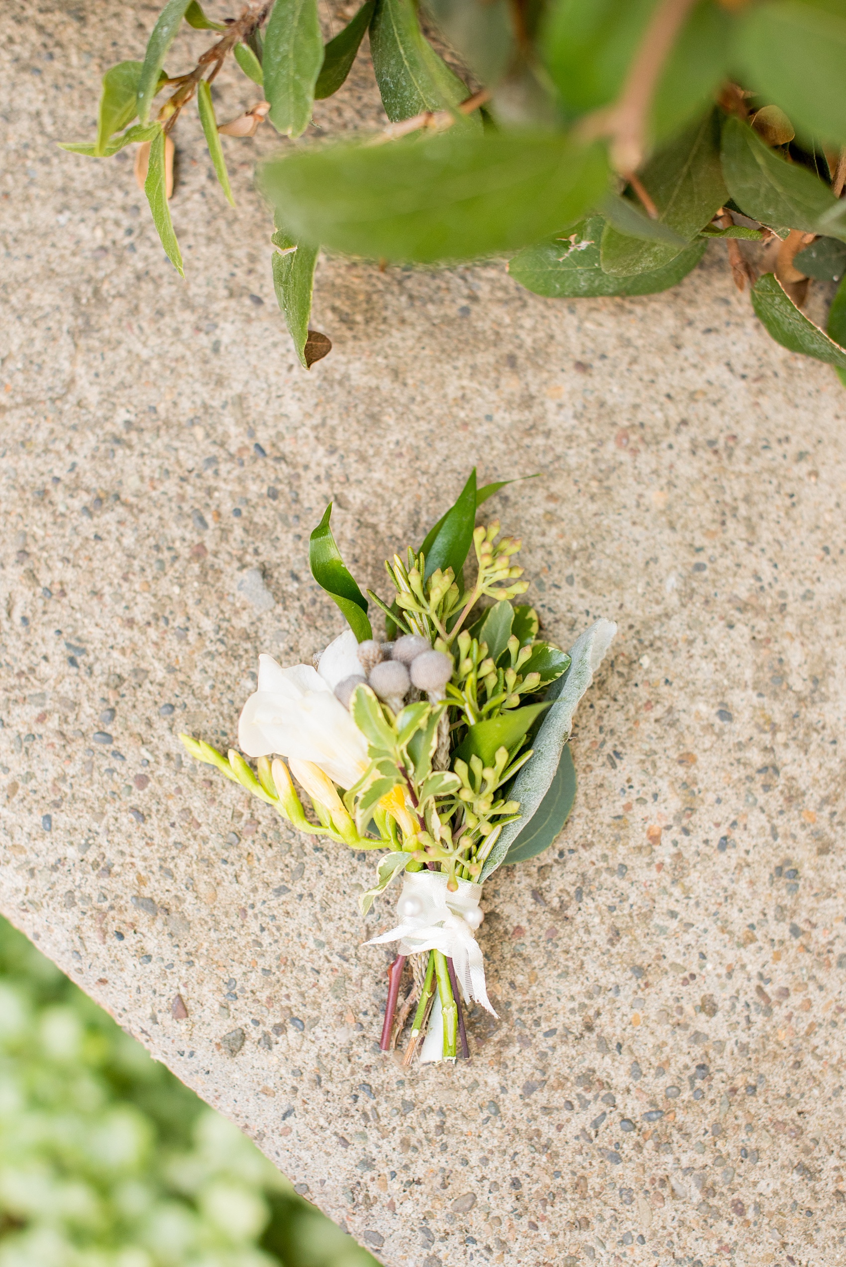 Mikkel Paige Photography boutonniere photo with brunia and seeded eucalyptus by Home Sweet Flowers, at Testarossa Winery in Los Gatos, California.