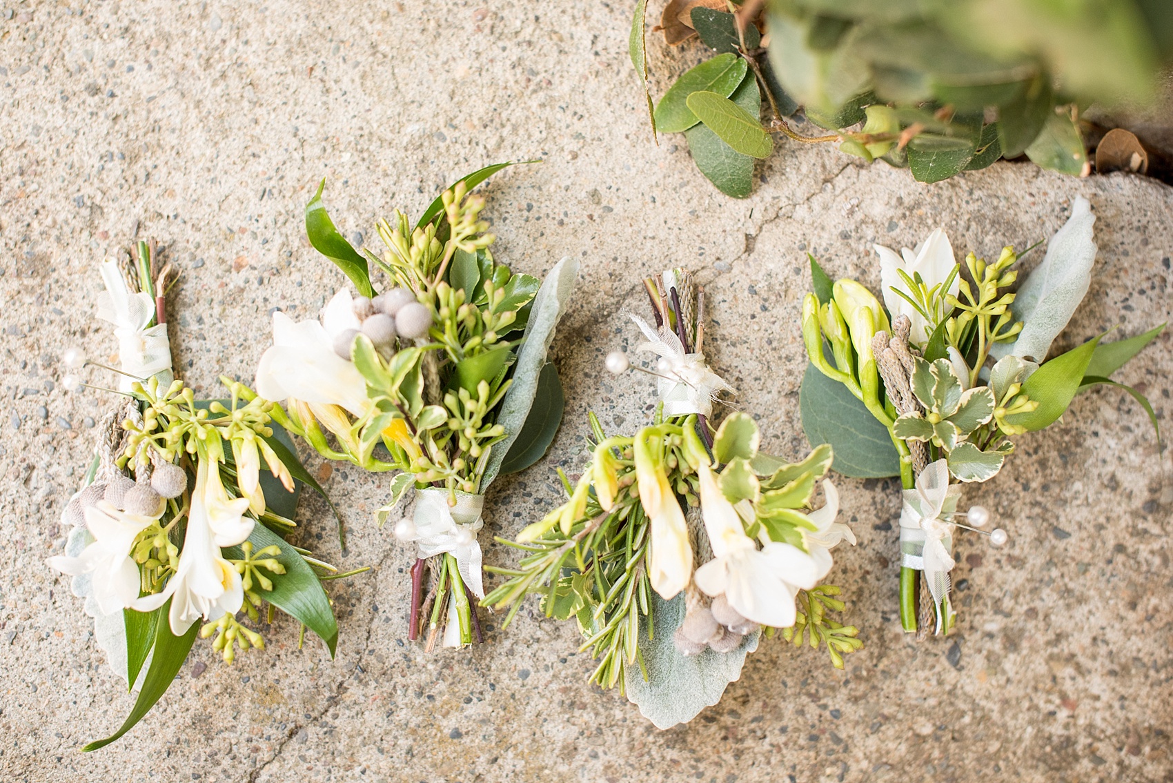 Mikkel Paige Photography boutonniere photo with brunia and seeded eucalyptus by Home Sweet Flowers, at Testarossa Winery in Los Gatos, California.