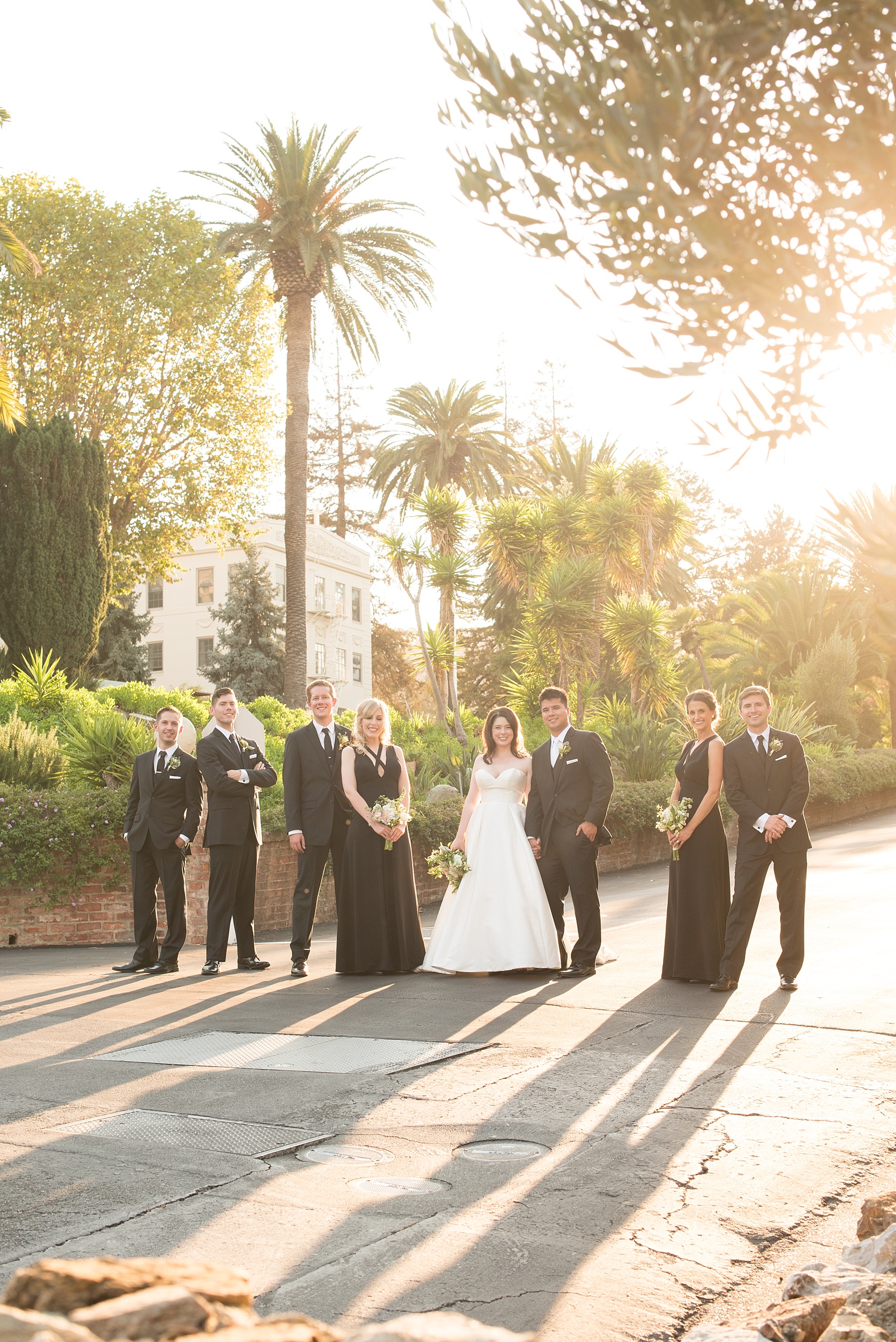 Mikkel Paige Photography Vogue photo of the wedding party at a Testarossa Winery wedding in Los Gatos, California.