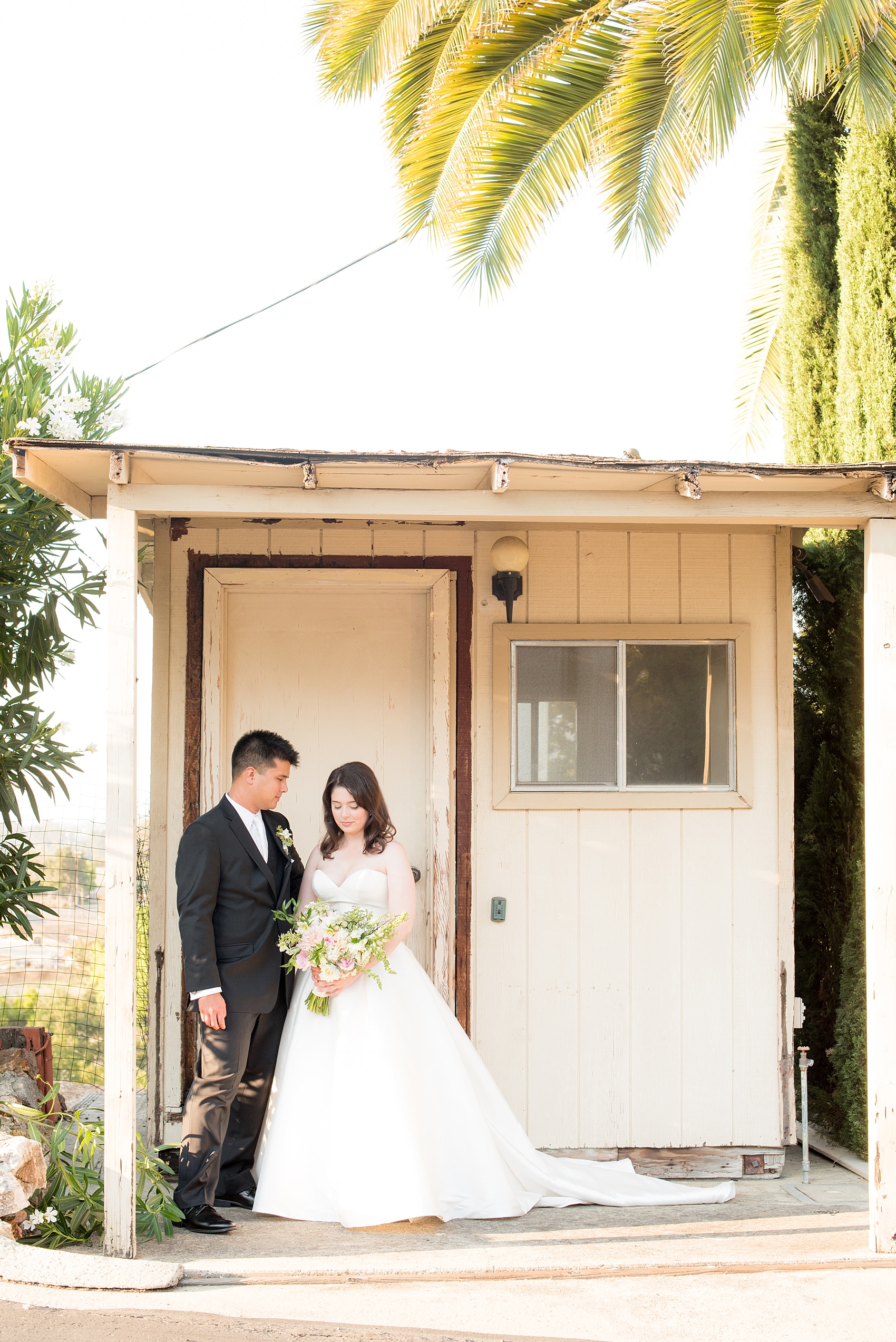 Mikkel Paige Photography photo of the bride and groom at their wedding at Testarossa Winery in Los Gatos, California with an Essence of Australia gown.