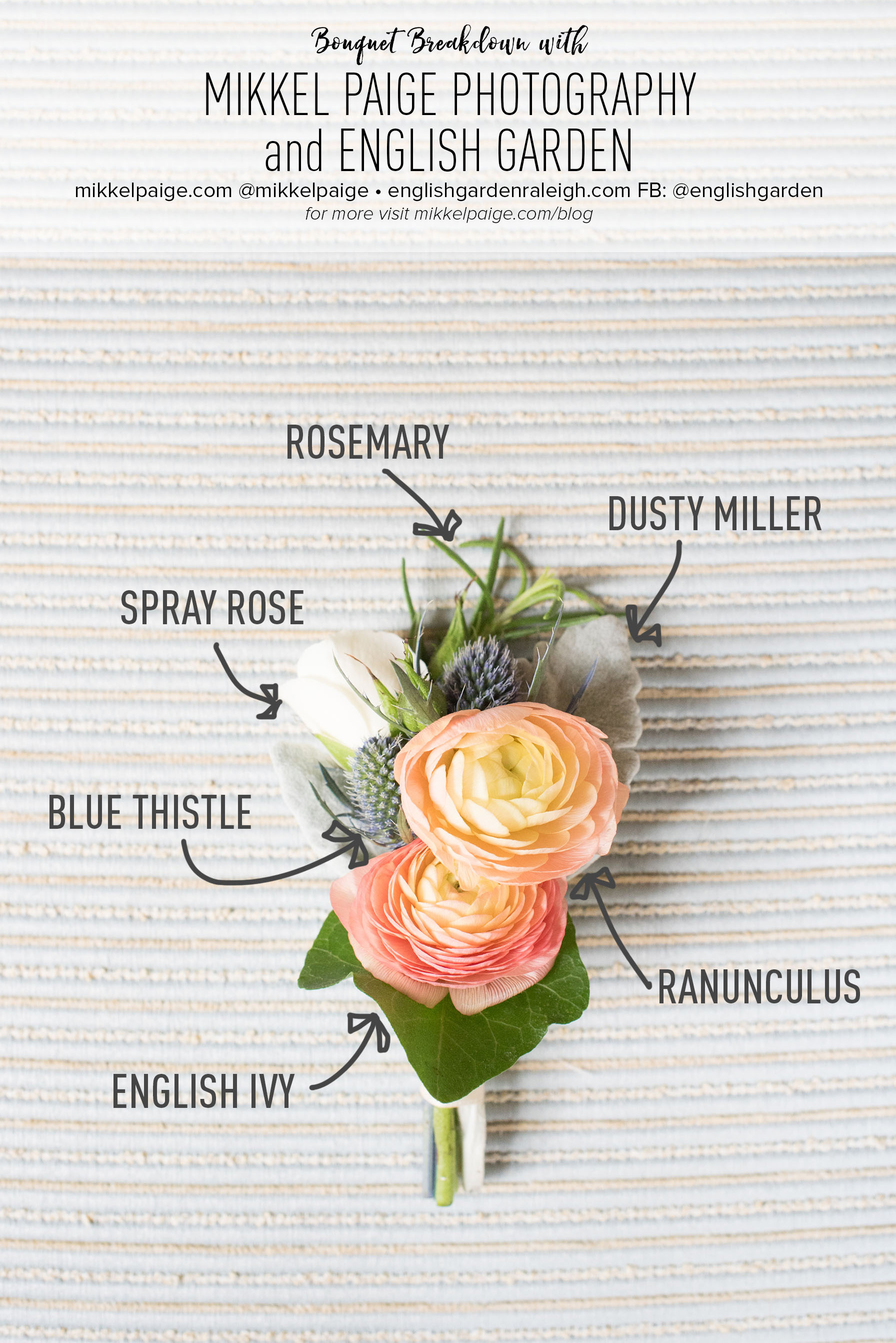 Mikkel Paige Photography Bouquet Breakdown with a boutonniere including blue thistle, spray roses, rosemary, english ivy and dusty miller by English Garden.