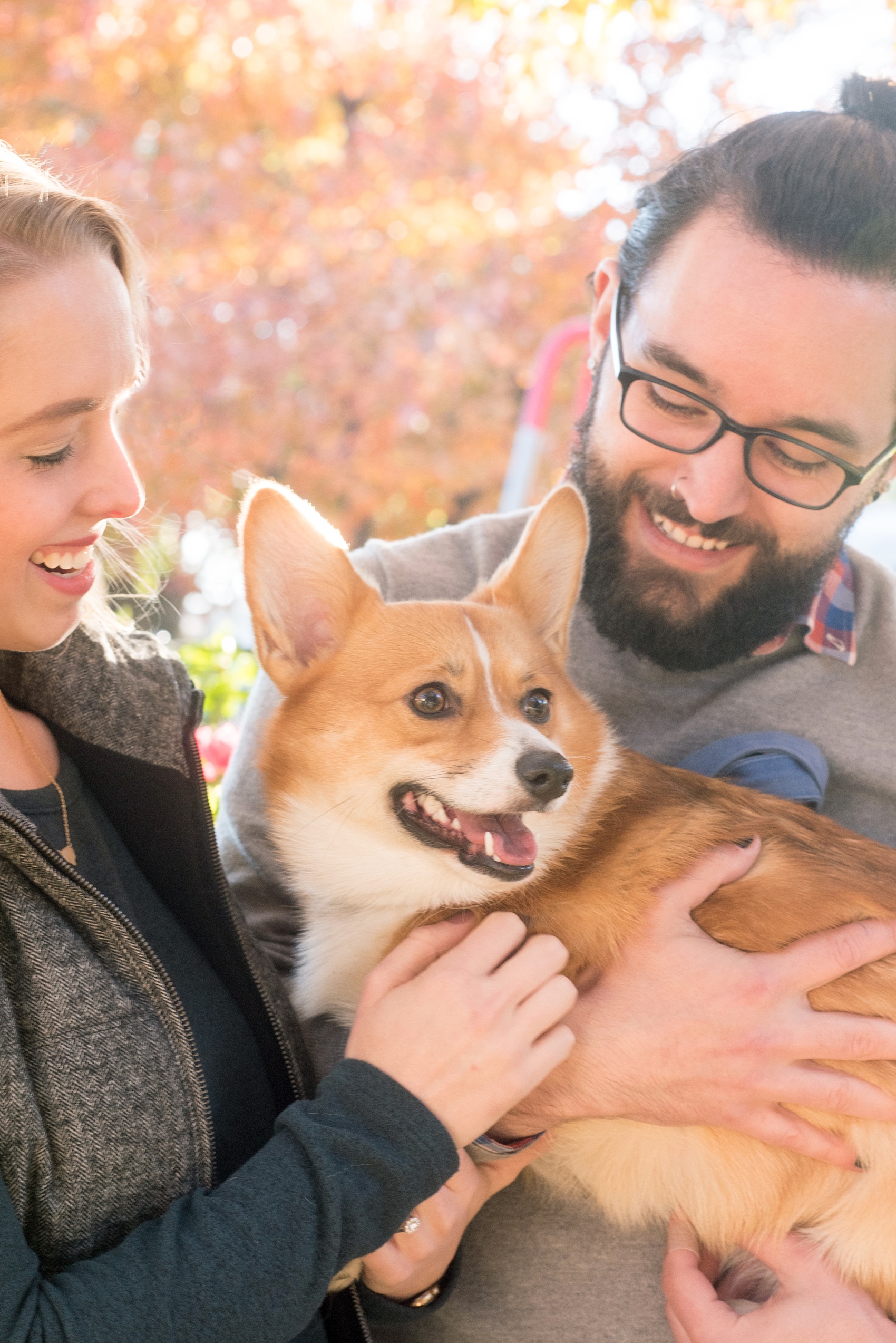 Mikkel Paige Photography photos of a Durham engagement session with the bride and groom's Corgi dog. 