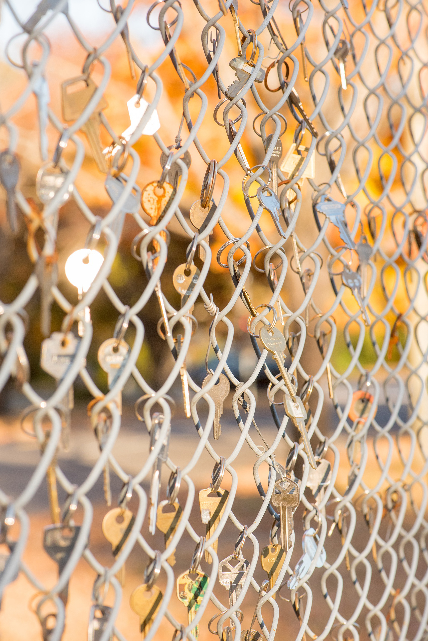 Mikkel Paige Photography photos of a downtown Durham engagement session with keys on a fence.