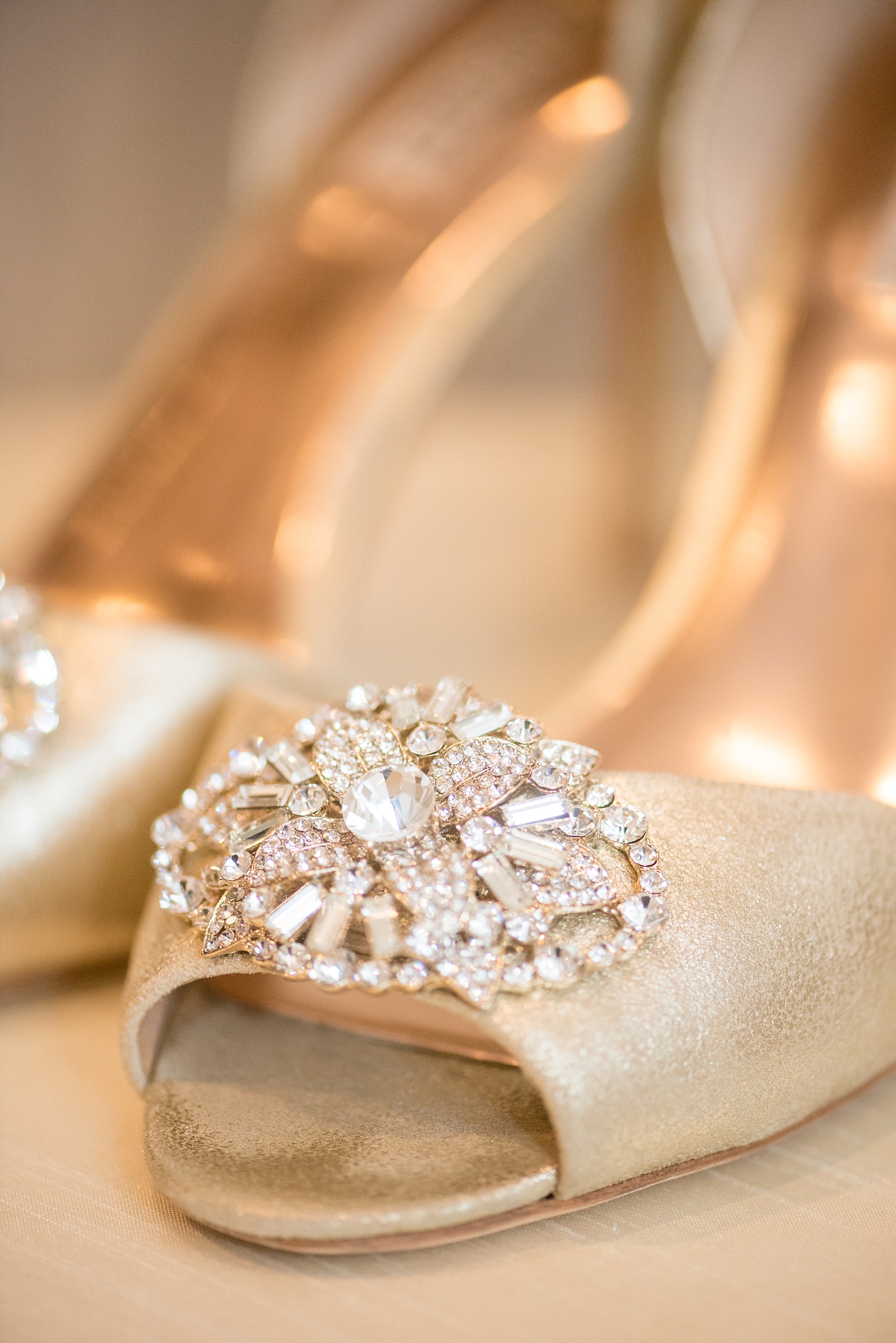 Mikkel Paige Photography photos of a wedding in downtown Chicago at The Rookery. The bride wore gold and rhinestone shoes by Badgley Mischka.