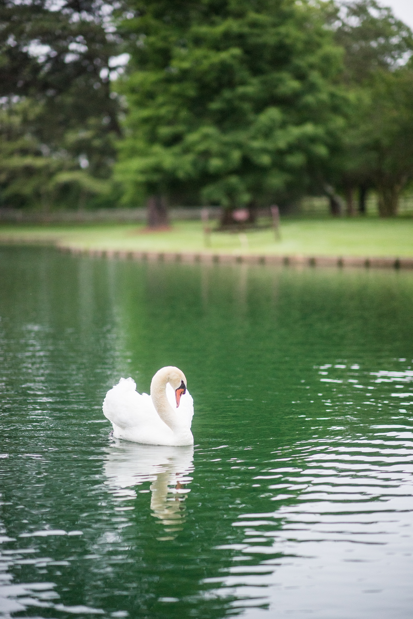 mikkelpaige-rose_hill_plantation-wedding_photos-18