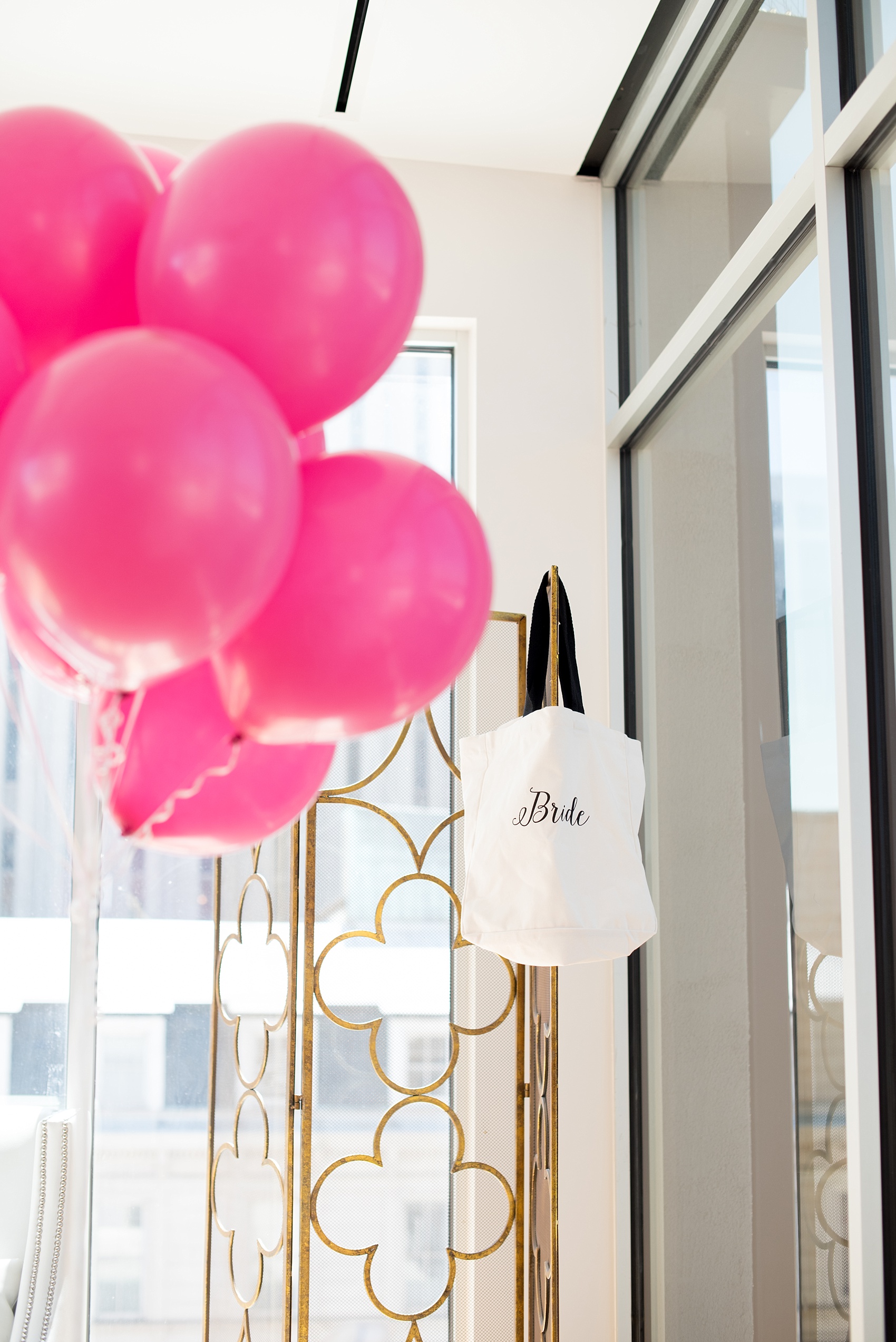 Mikkel Paige Photography photos of a small wedding at The Stockroom at 230 in downtown Raleigh, North Carolina. Detail image of the bride's canvas bag with pink balloons.