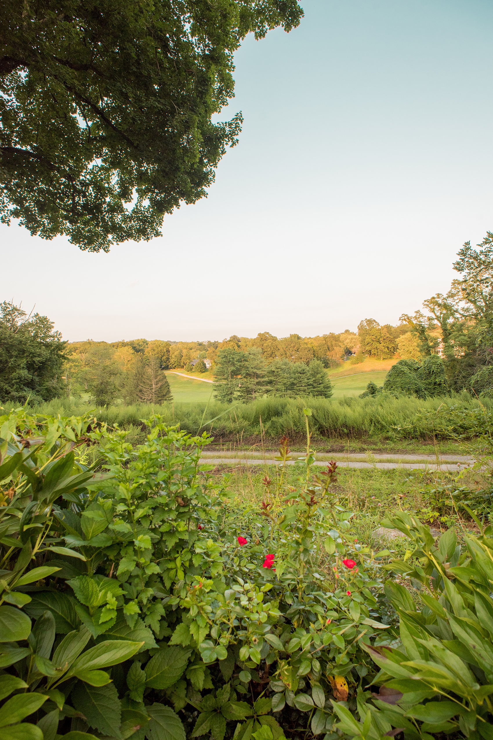 Mikkel Paige Photography photos of a wedding at Crabtree Kittle's House. Picture of the view from the reception area.