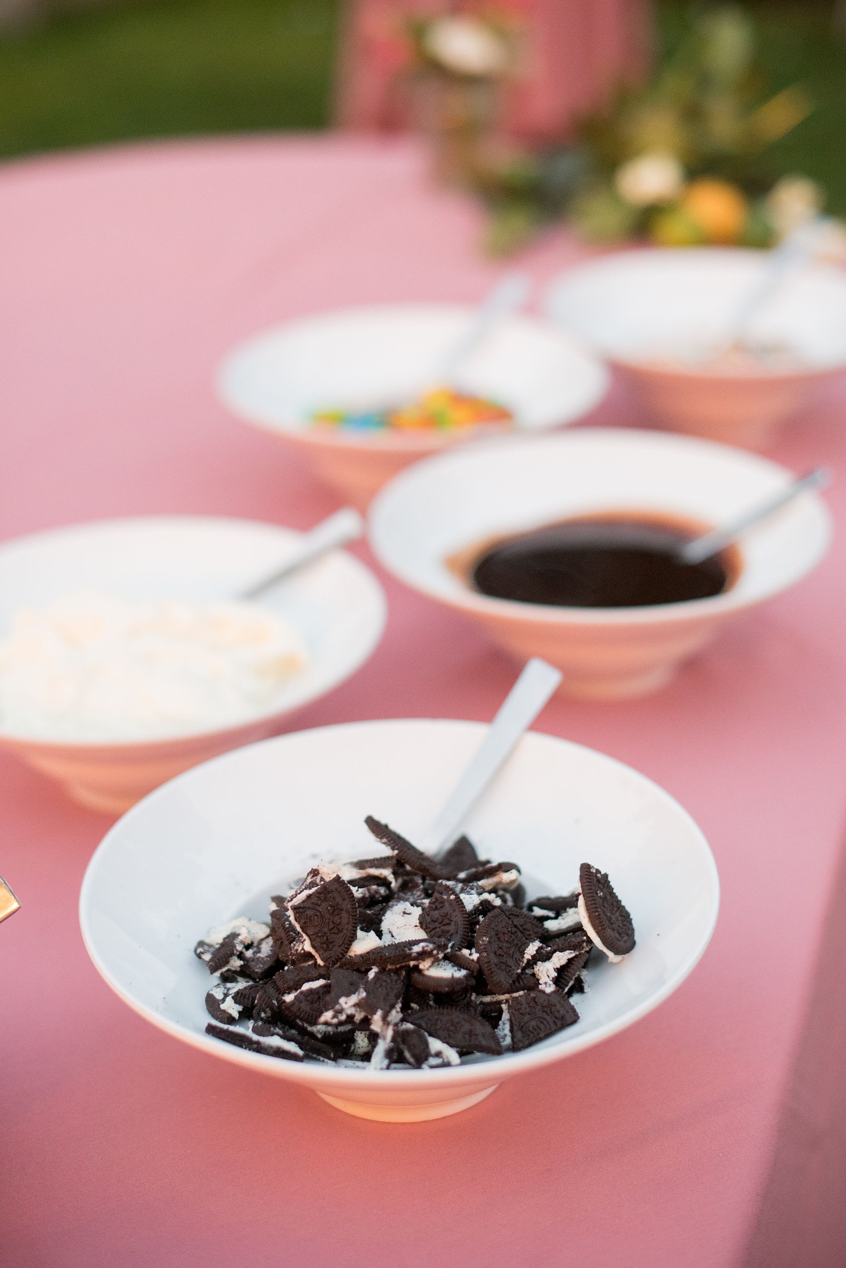 Mikkel Paige Photography photos of a wedding at Crabtree Kittle's House. Picture of the smores dessert station toppings.