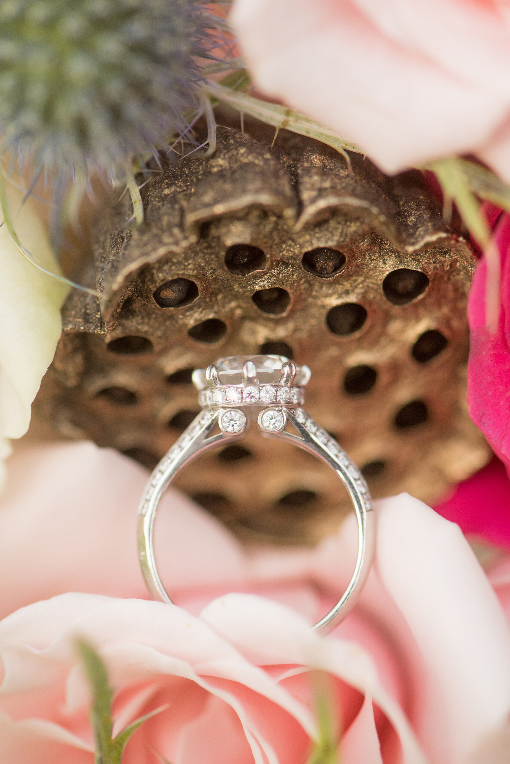 Mikkel Paige Photography photos from a bridal session at Raleigh's JC Raulston Arboretum on North Carolina's NC State campus. A detail picture of the bride's unique engagement ring with side diamond detail.