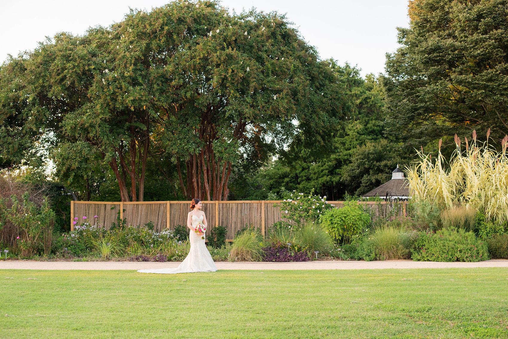 Mikkel Paige Photography photos from a bridal session at Raleigh's JC Raulston Arboretum on North Carolina's NC State campus. Picture of the bride during golden hour with her off-white lace gown.