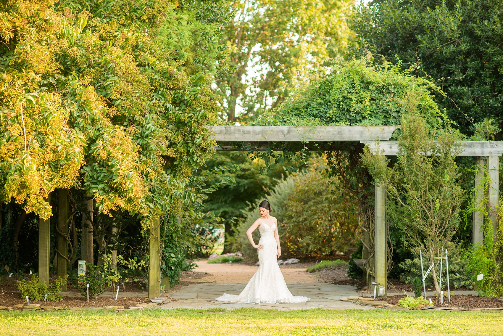 Mikkel Paige Photography photos from a bridal session at Raleigh's JC Raulston Arboretum on North Carolina's NC State campus. Picture of the bride in the garden.