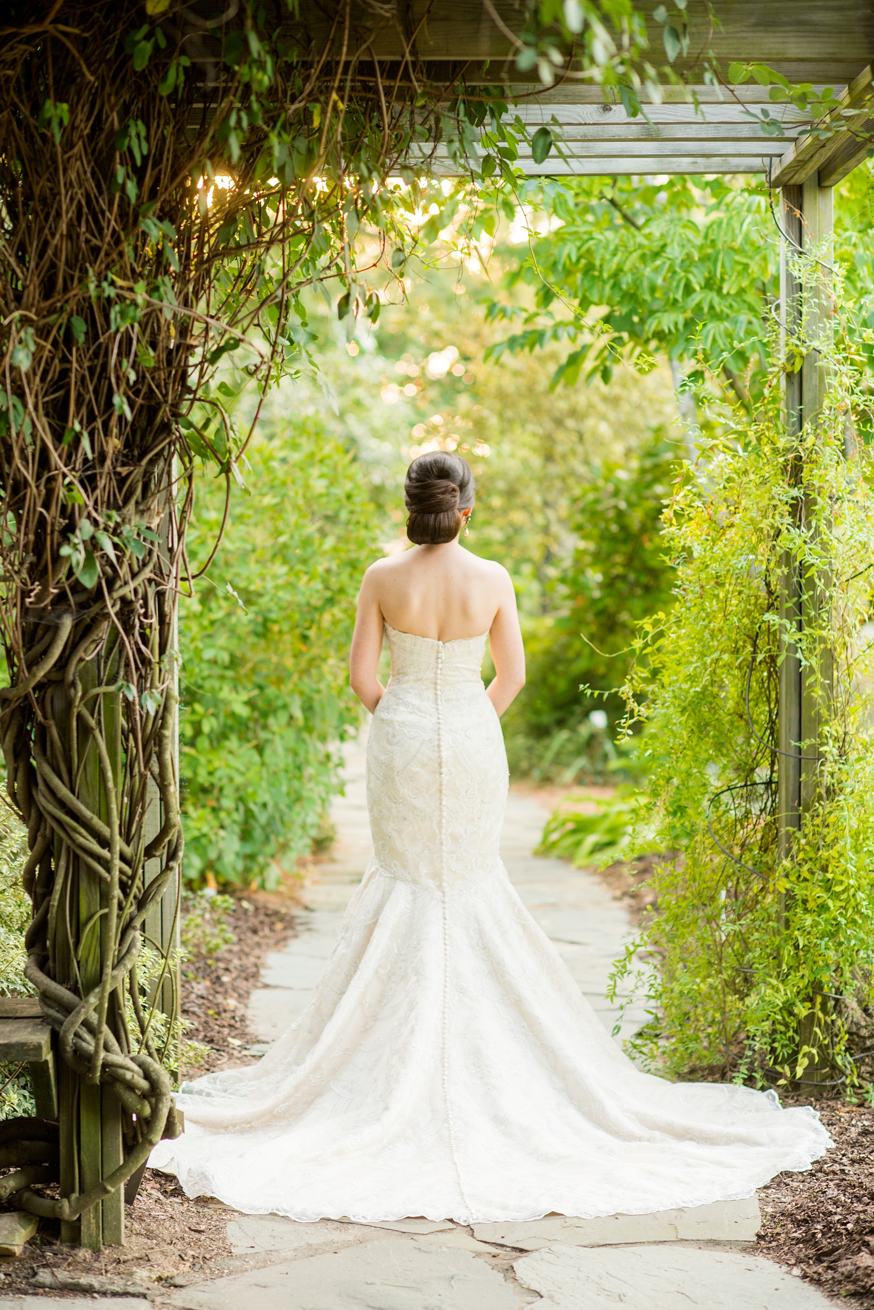 Mikkel Paige Photography photos from a bridal session at Raleigh's JC Raulston Arboretum on North Carolina's NC State campus. Picture of the back of the bride's gown with buttons down to the train, during golden hour. The bride had an elegant "ribbon" like hair up-do.