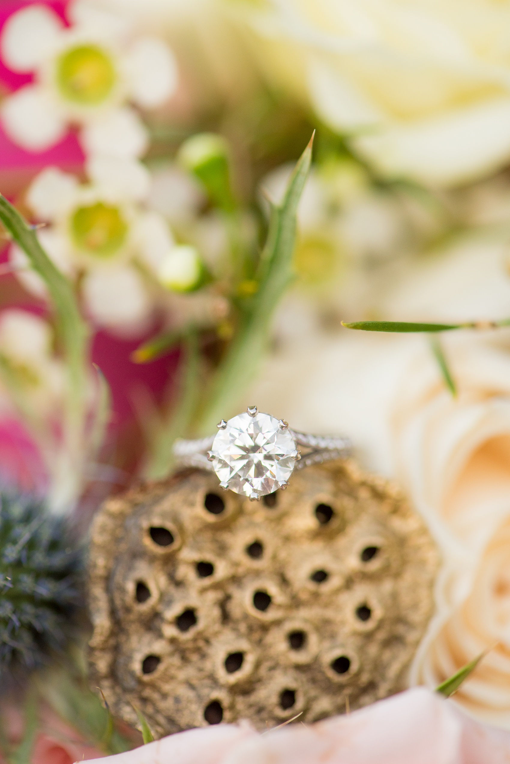 Mikkel Paige Photography photos from a bridal session at Raleigh's JC Raulston Arboretum on North Carolina's NC State campus. A detail picture of the bride's unique engagement ring.