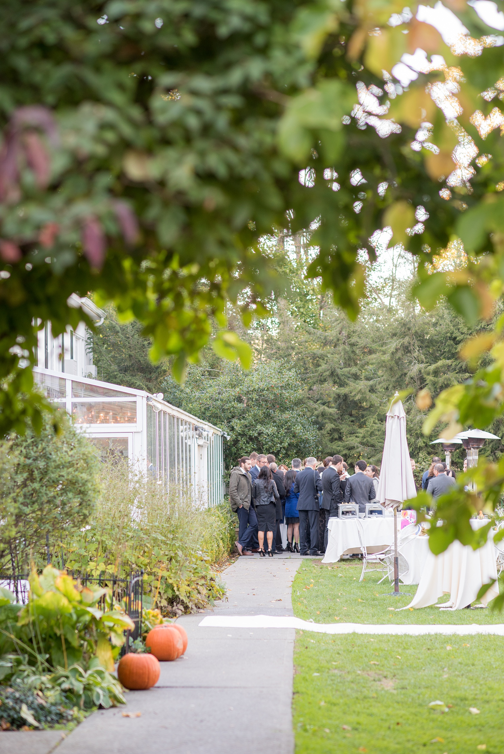 Mikkel Paige Photography photos of a wedding at Crabtree's Kittle House in Chappaqua, New York. Picture of the outdoor autumn cocktail hour in the garden.