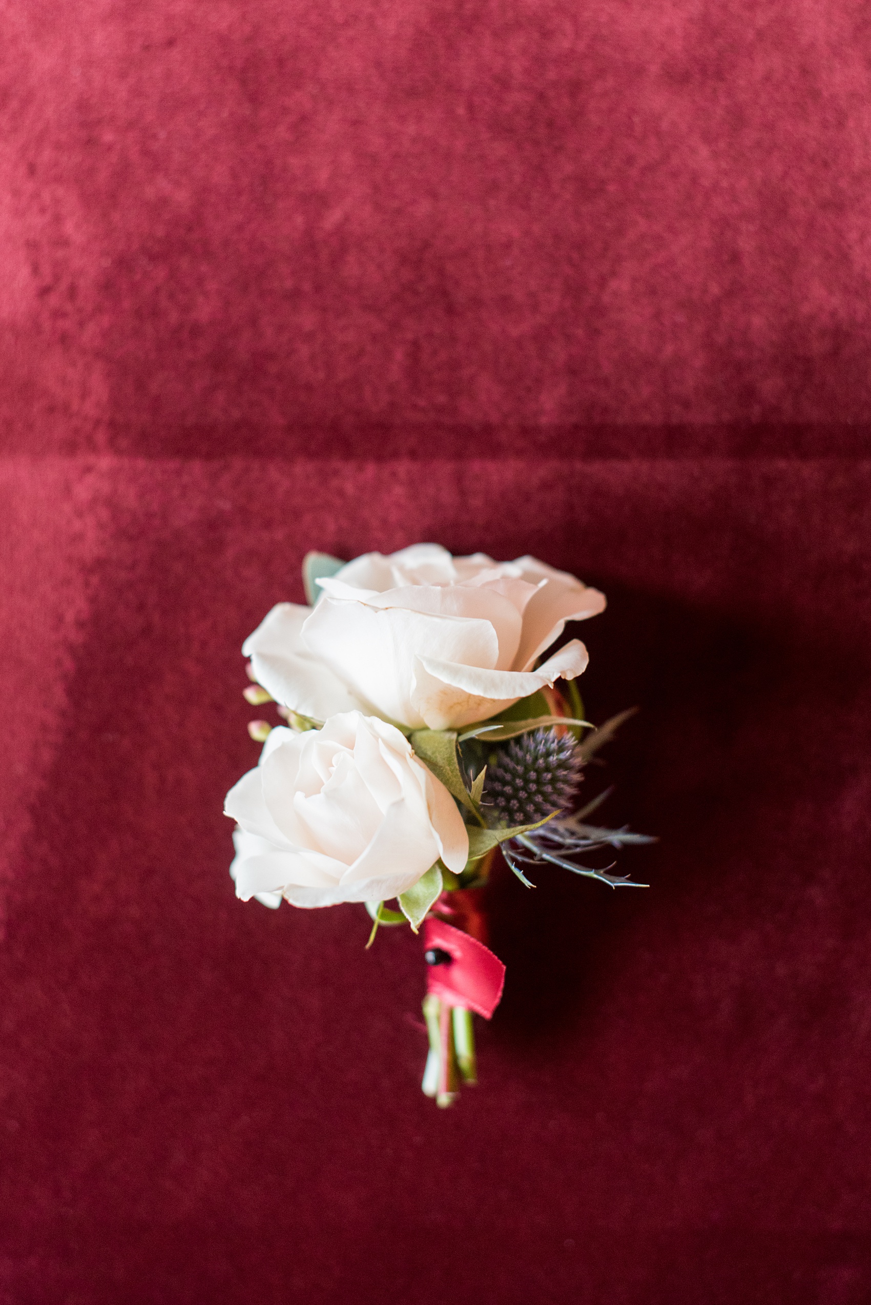 Photos from a wedding in downtown Raleigh, NC by Mikkel Paige Photography. The groom wore a pale pink and white sweetheart rose boutonniere tied with maroon ribbon to match the bride's bouquet, as seen in this detail picture.