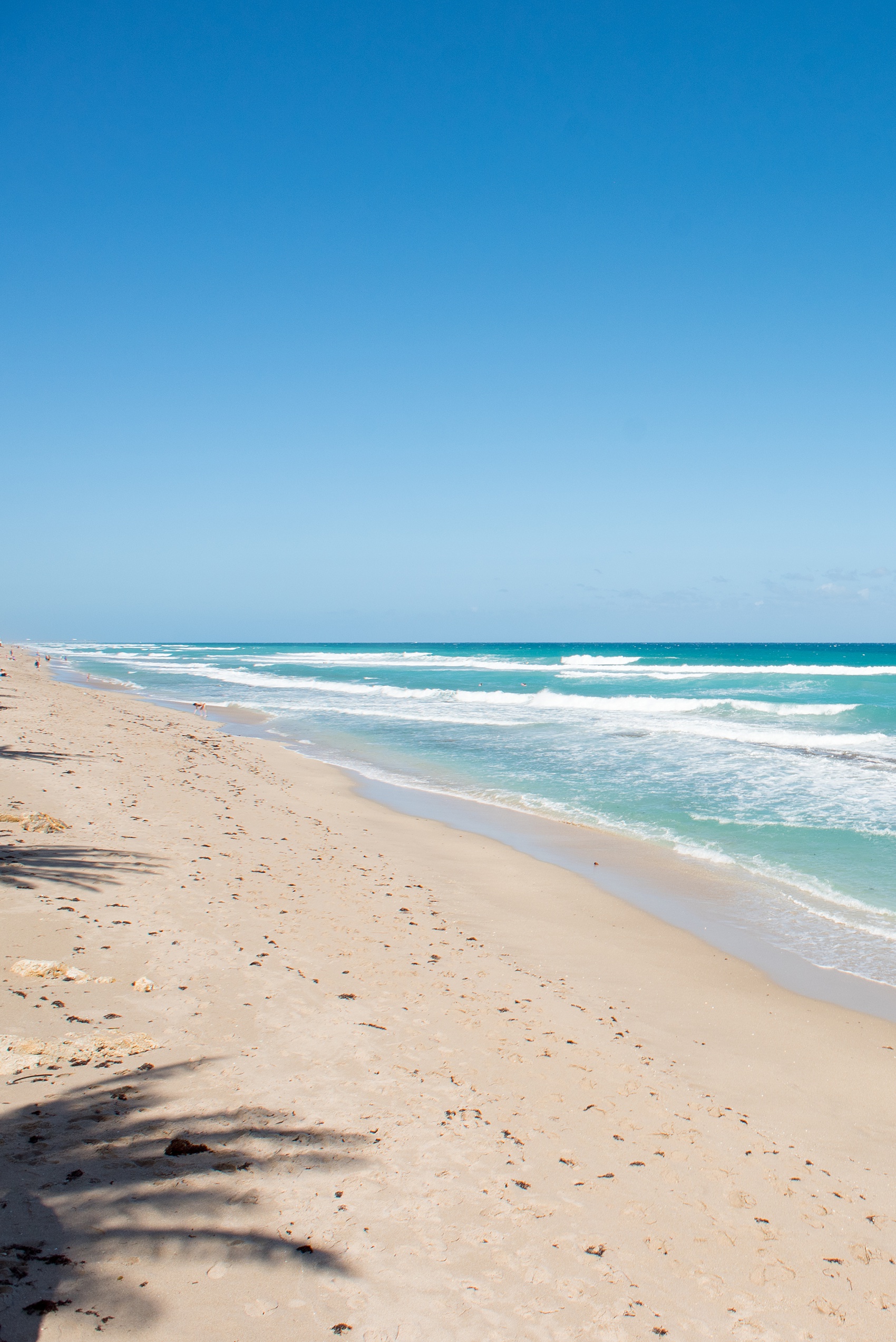 Eau Palm Beach wedding photos by Mikkel Paige Photography. This luxury Florida resort is a beautiful destination location for a wedding! Click through for more! #WestPalmBeach #EauPalmBeach #BeachWedding #FloridaWeddings