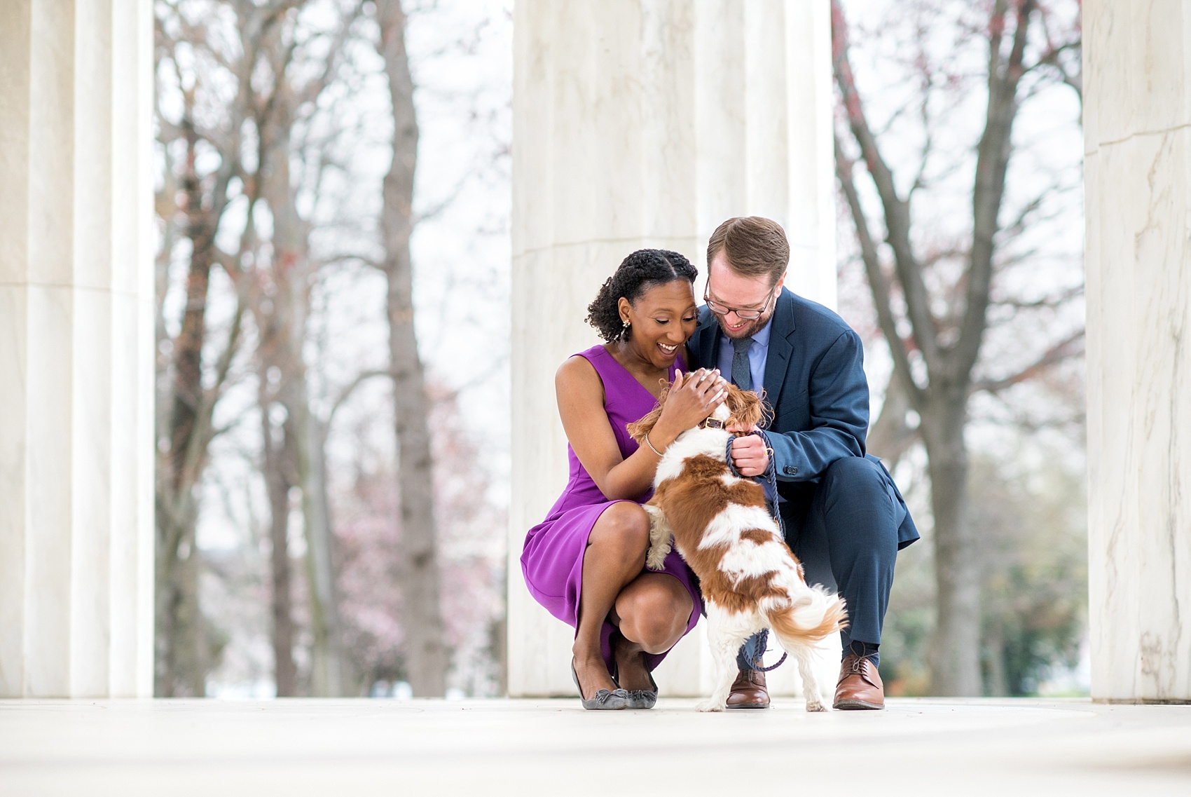 DC Cherry Blossoms Engagement Photos by Mikkel Paige Photography. Spring flowers around the MLK memorial and Tidal Basin at the nation's Capitol with a couple and their King Charles Spaniel dog. #DCCherryBlossoms #CherryBlossoms #EngagementPhotos #SpringEngagementPhotos #CherryBlossomsEngagementPhotos