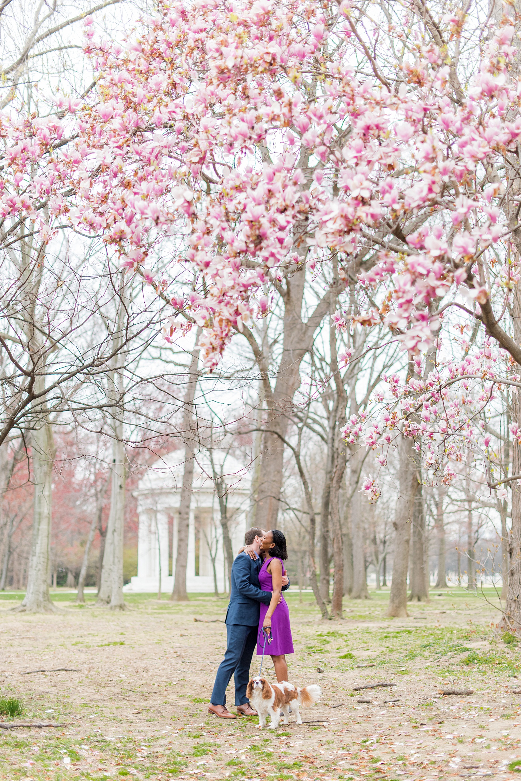 DC Cherry Blossoms Engagement Photos by Mikkel Paige Photography. Spring flowers around the MLK memorial and Tidal Basin at the nation's Capitol with an interracial couple. #DCCherryBlossoms #CherryBlossoms #EngagementPhotos #SpringEngagementPhotos #CherryBlossomsEngagementPhotos