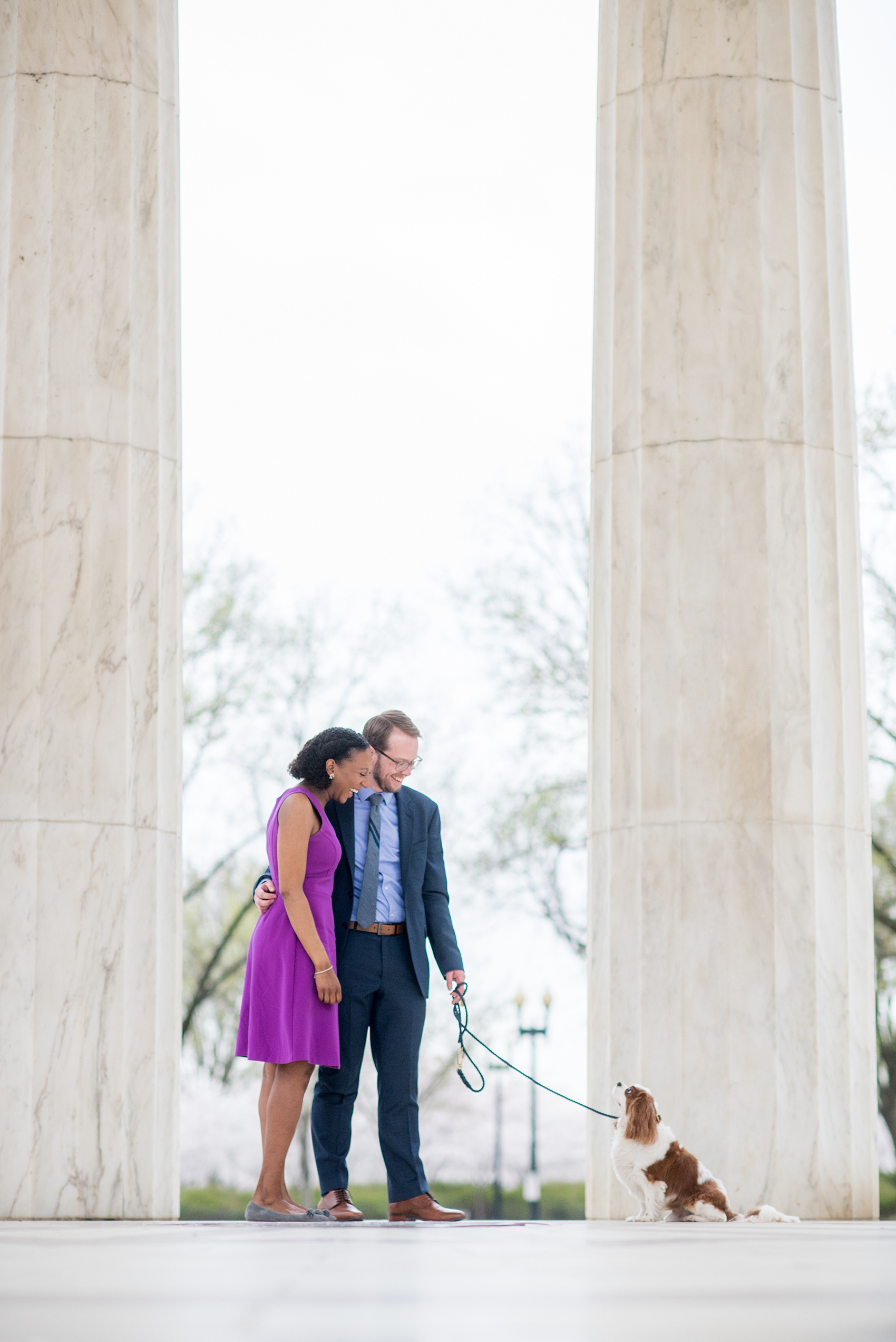 DC Cherry Blossoms Engagement Photos by Mikkel Paige Photography. Spring flowers around the MLK memorial and Tidal Basin at the nation's Capitol with a couple and their King Charles Spaniel dog. #DCCherryBlossoms #CherryBlossoms #EngagementPhotos #SpringEngagementPhotos #CherryBlossomsEngagementPhotos