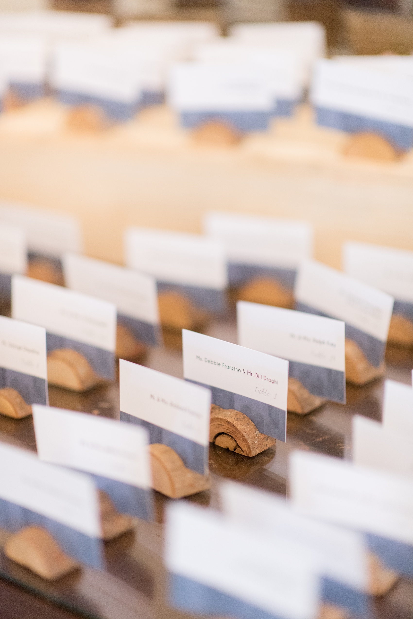 Crystal Springs Resort wedding photos in New Jersey, with photographer Mikkel Paige Photography. The couple’s spring wedding had an outdoor ceremony with photos at this rustic, woodsy venue showing their blue and pink palette decor from getting ready to their reception. This detail picture shows the blue escort cards that matched the couple's invitation. Click through to see their complete wedding recap! #NewJerseywedding #MikkelPaige #NJweddingphotographer #NJphotographer #springwedding #pinkandblue #escortcards #placecards