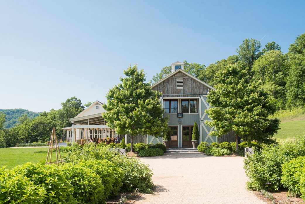 Pippin Hill wedding photos by Mikkel Paige Photography in Charlottesville, Virginia. This chic venue is on a vineyard and has beautiful views of the Blue Ridge Mountains. #VirginiaWeddingVenues #PippinHill #VineyardWedding #CharlottesvilleVA #RatherbeinCville