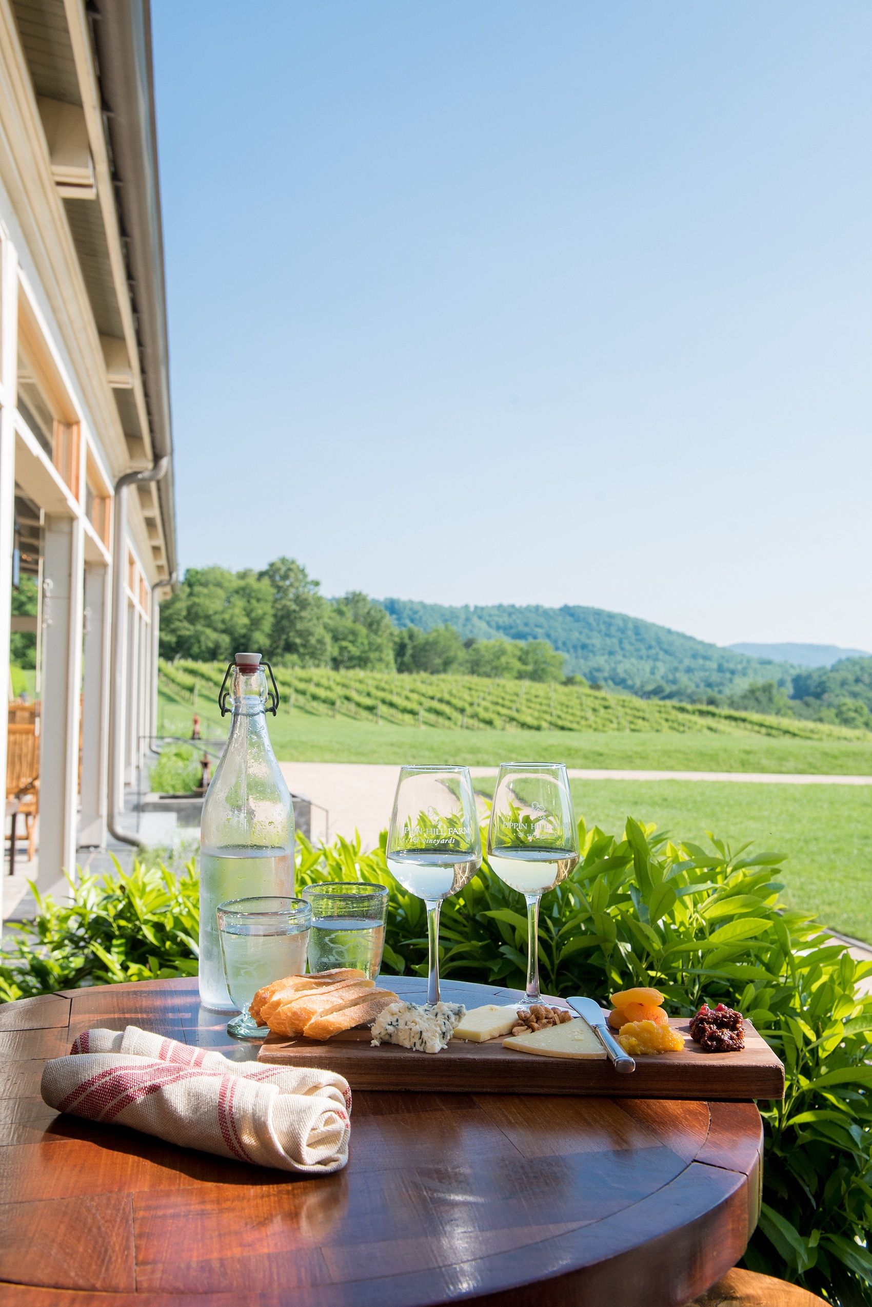 Pippin Hill wedding photos by Mikkel Paige Photography in Charlottesville, Virginia. This chic venue is on a vineyard and has beautiful views of the Blue Ridge Mountains. They have an awesome outdoor patio and we enjoyed wine and a cheese board that was incredible! Click through to see more professional photography! #VirginiaWeddingVenues #PippinHill #VineyardWedding #CharlottesvilleVA #RatherbeinCville #cheeseplate