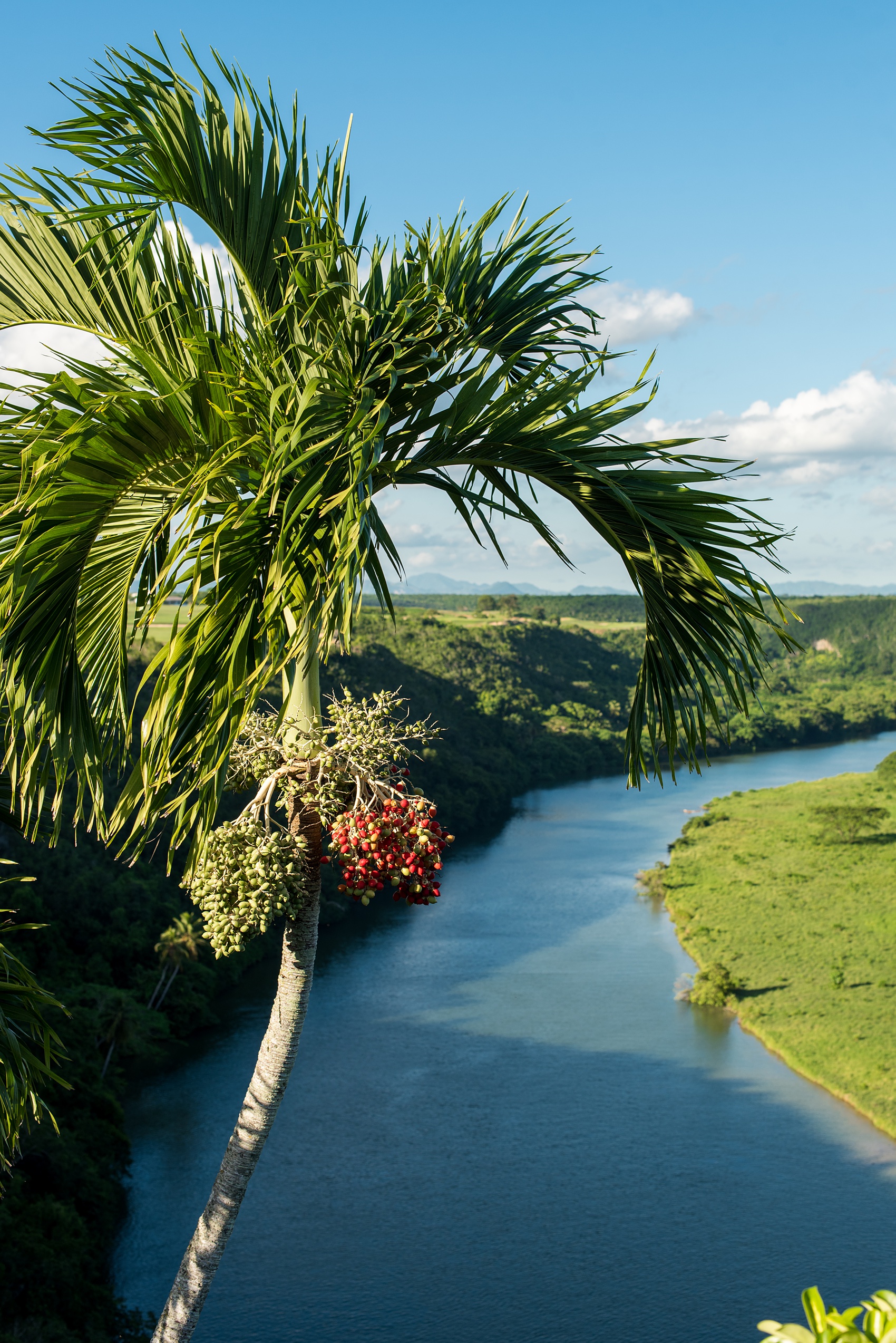 Planning a destination wedding? La Romana is an hour from Punta Cana and home to an incredible, all inclusive resort with beautiful Minitas beach and mountain view in the Dominican Republic. It’s a great location, which these pictures by Mikkel Paige Photography prove again and again! It also doubles as a vacation and honeymoon spot. Click through for more Casa de Campo, Altos de Chavon, wedding photography and ideas! #mikkelpaige #destinationweddingphotographer #dominicanrepublicwedding