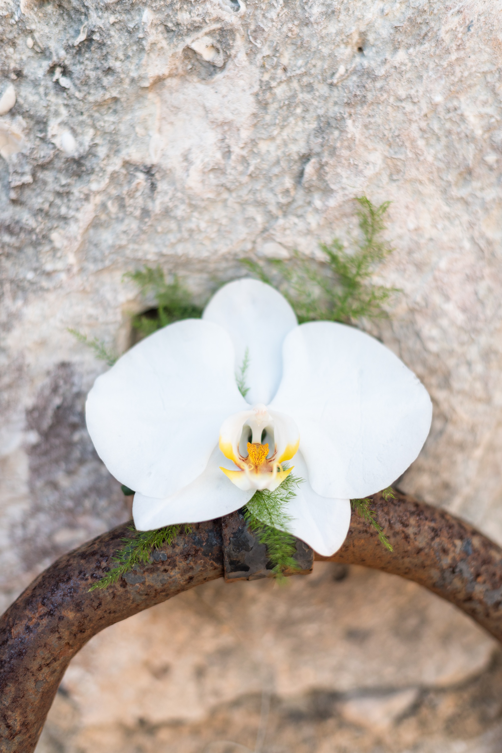 If you’re planning a destination wedding Casa de Campo in the Dominican Republic is a great location. It’s in La Romana, an hour from Punta Cana, and is an all inclusive resort with tropical Minitas beach and mountains view. It’s a beautiful venue, which these pictures by Mikkel Paige Photography prove. Click through for more flower ideas, including an all white bouquet and orchid boutonniere! Coordination by @theeventeur #mikkelpaige #weddingflowers #navybluewedding