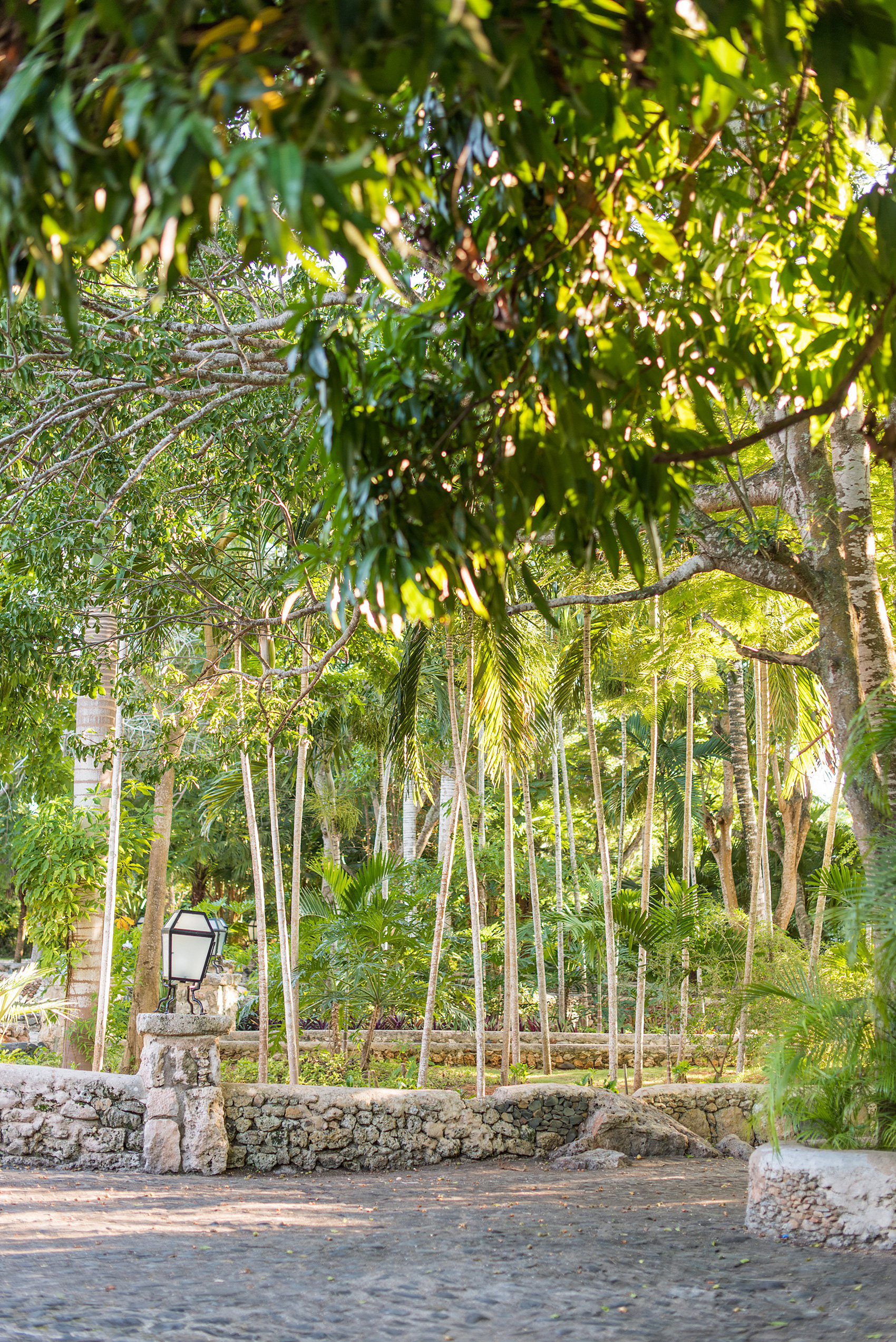 Planning a destination wedding? La Romana is an hour from Punta Cana and home to an incredible, all inclusive resort with beautiful Minitas beach and mountain view in the Dominican Republic. It’s a great location, which these pictures by Mikkel Paige Photography prove again and again! It also doubles as a vacation and honeymoon spot. Click through for more Casa de Campo, Altos de Chavon, wedding photography and ideas! #mikkelpaige #destinationweddingphotographer #dominicanrepublicwedding