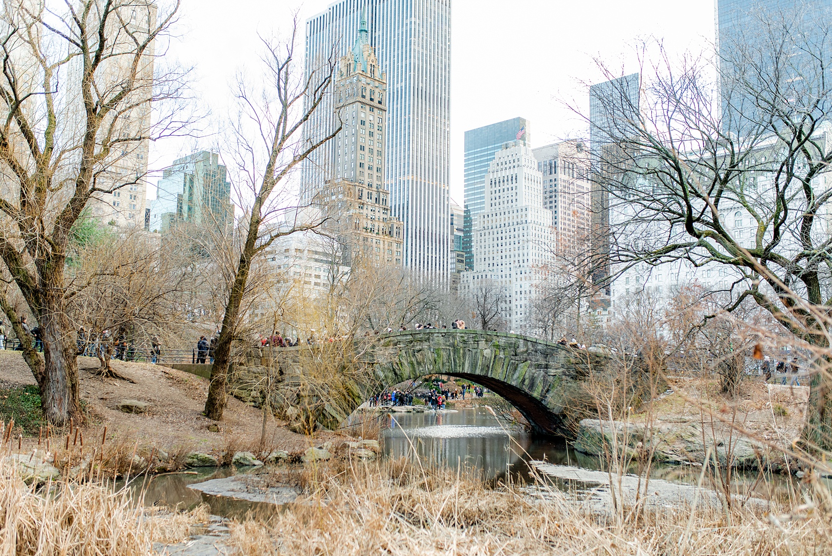 NYC proposal ideas in Central Park with photography by New York City marriage proposal photographer, Mikkel Paige Photography. Of all the cities in the world so many people dream of getting engaged in iconic, beautiful NY. Manhattan is wonderful whether winter, spring, summer, or fall and we're seasoned pros at capturing your moment. Christmas time is magic, Valentine's Day romantic and everyday between can be made memorable! Click through for more grand ideas! #MikkelPaige #NYCproposal #marryme