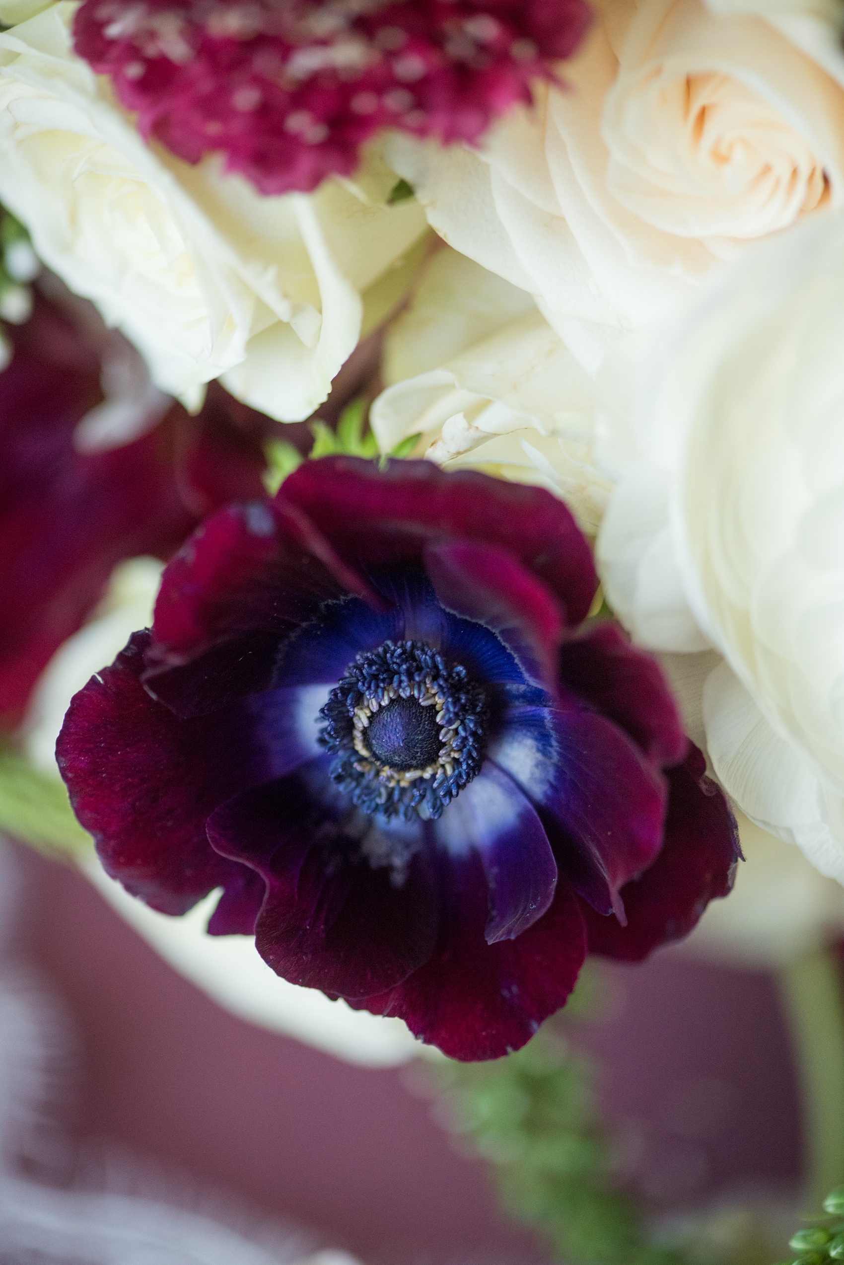 A fall wedding with burgundy, dusty rose and grey details. The bride carried a white and burgundy seasonal bouquet with scabiosas, dahlias, roses and ranunculus. Mikkel Paige Photography, photographer in Greenville NC and Raleigh captured this wedding at Rock Springs Center, planned by @vivalevent. Click through for more details and pictures from this autumn day! #mikkelpaige #northcarolinawedding #southernwedding #burgundywedding #fallbouquet #anemones