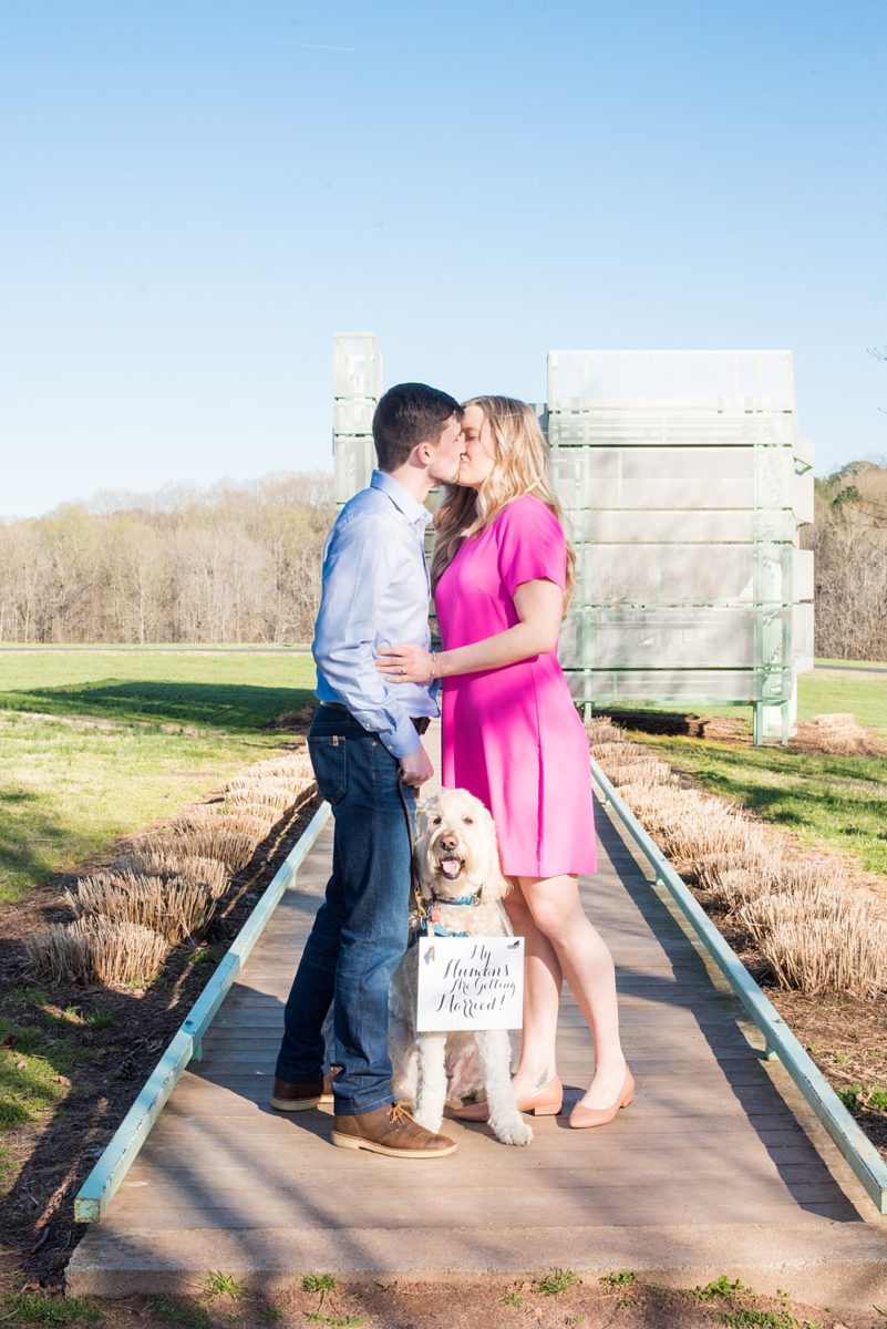 Beautiful pictures of an engagement session at the North Carolina Museum of Art, NCMA by Raleigh North Carolina wedding photographer, Mikkel Paige Photography. They brought their Golden Doodle dog for extra fun and we captured the Cherry Blossoms during a spring photoshoot. | Raleigh Engagement Photographer | #mikkelpaige #RaleighEngagementPhotographer #RaleighEngagementPhotographs