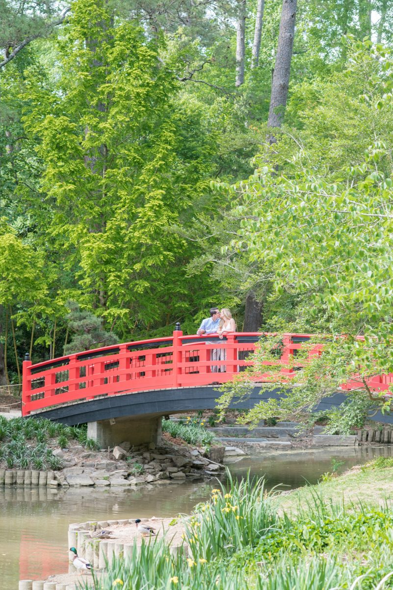 Duke Gardens engagement photos in Durham, North Carolina, by Mikkel Paige Photography. Trees with leaves in full bloom during spring reveal themselves for a May session. #DurhamPhotographer #DurhamWeddingPhotographer #SarahPDukeGardens #DukeGardens #DurhamEngagementSession #JapaneseBridge #redbridge