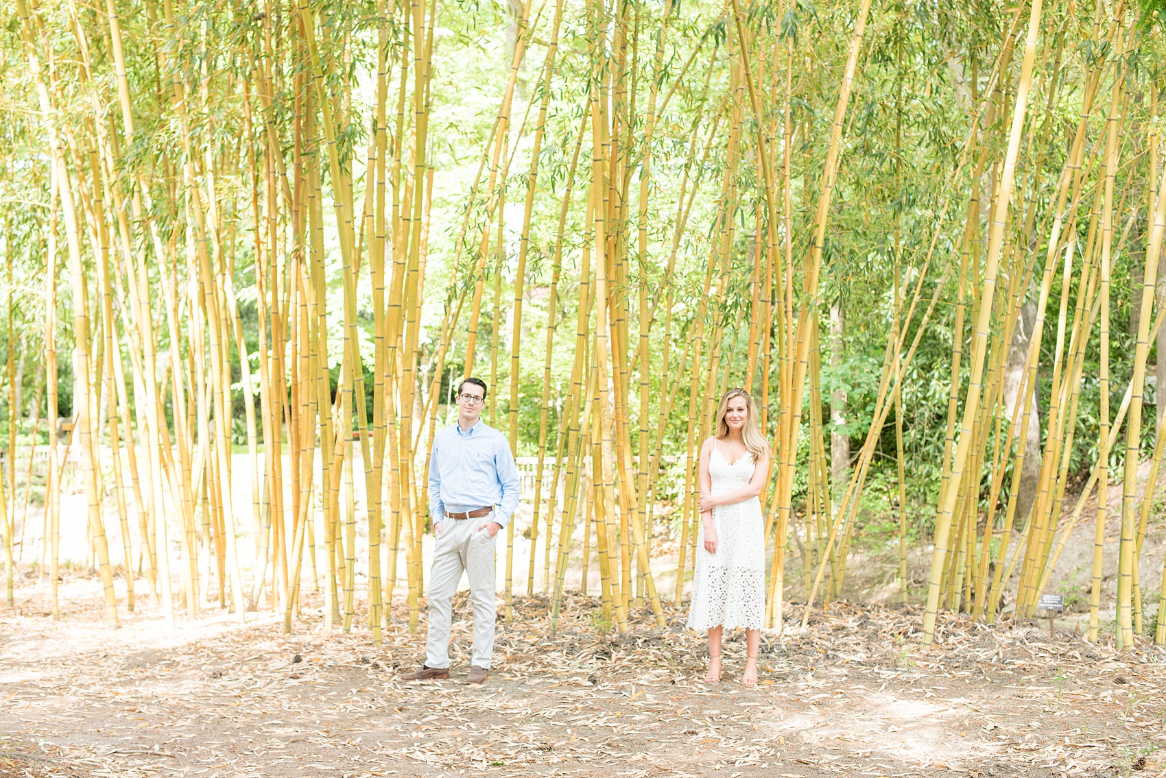 Duke Gardens engagement photos in Durham, North Carolina, by Mikkel Paige Photography. Trees with leaves in full bloom during spring reveal themselves for a May session. #DurhamPhotographer #DurhamWeddingPhotographer #SarahPDukeGardens #DukeGardens #DurhamEngagementSession