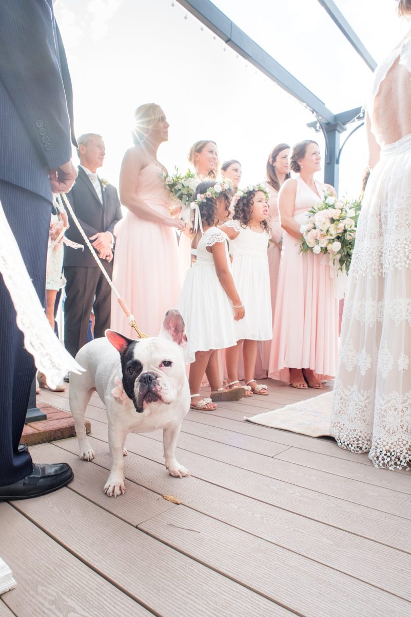 Saratoga Springs destination wedding photos in upstate New York by Mikkel Paige Photography, NY wedding photographer. The bride and groom were married in an intimate wedding at a home with a lakefront ceremony with Native American traditions. They had their dogs by their side as part of the ceremony! #mikkelpaige #saratogaspringswedding #destinationwedding #lakefrontwedding #waterfrontwedding #lakewedding