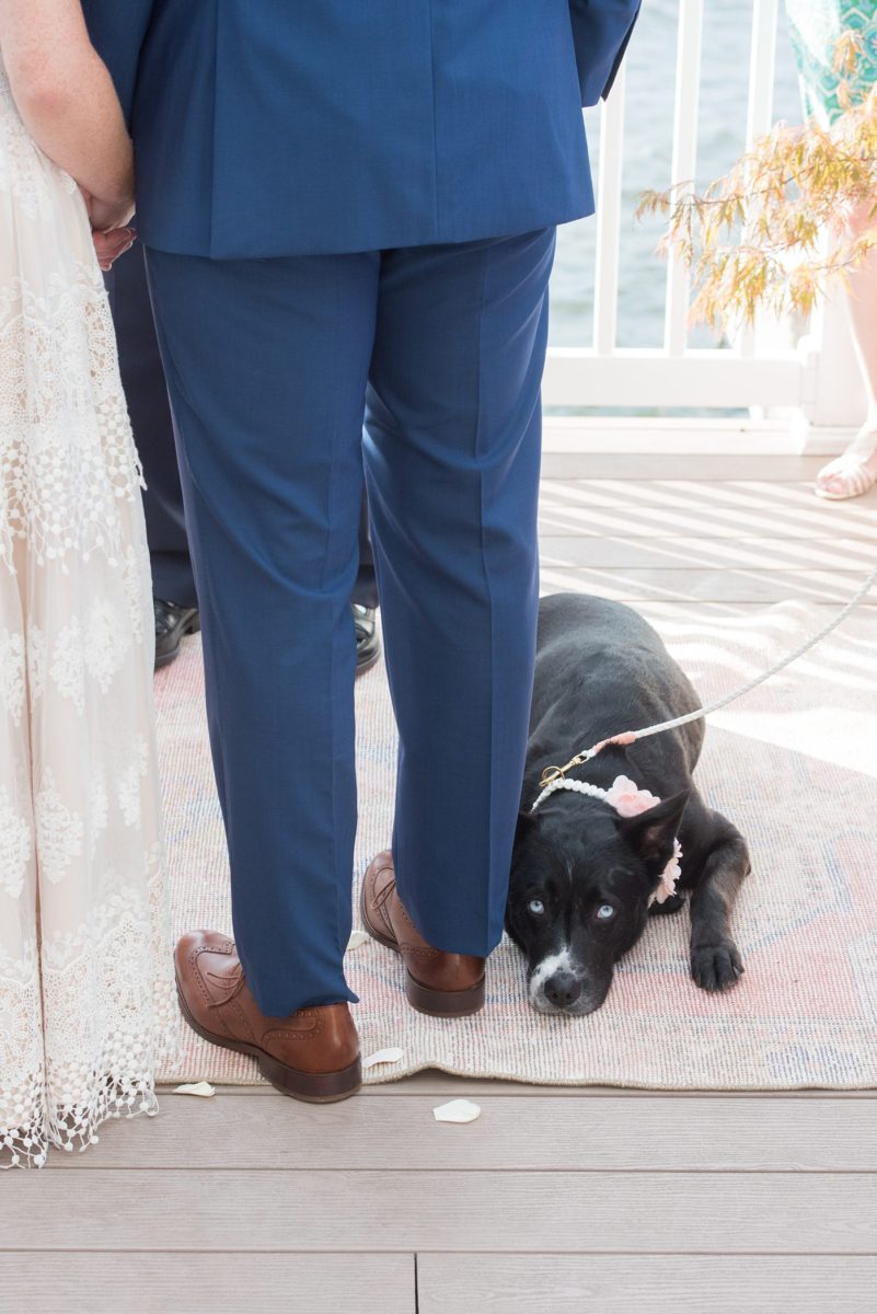 Saratoga Springs destination wedding photos in upstate New York by Mikkel Paige Photography, NY wedding photographer. The bride and groom were married in an intimate wedding at a home with a lakefront ceremony with Native American traditions. They had their dogs by their side as part of the ceremony! #mikkelpaige #saratogaspringswedding #destinationwedding #lakefrontwedding #waterfrontwedding #lakewedding