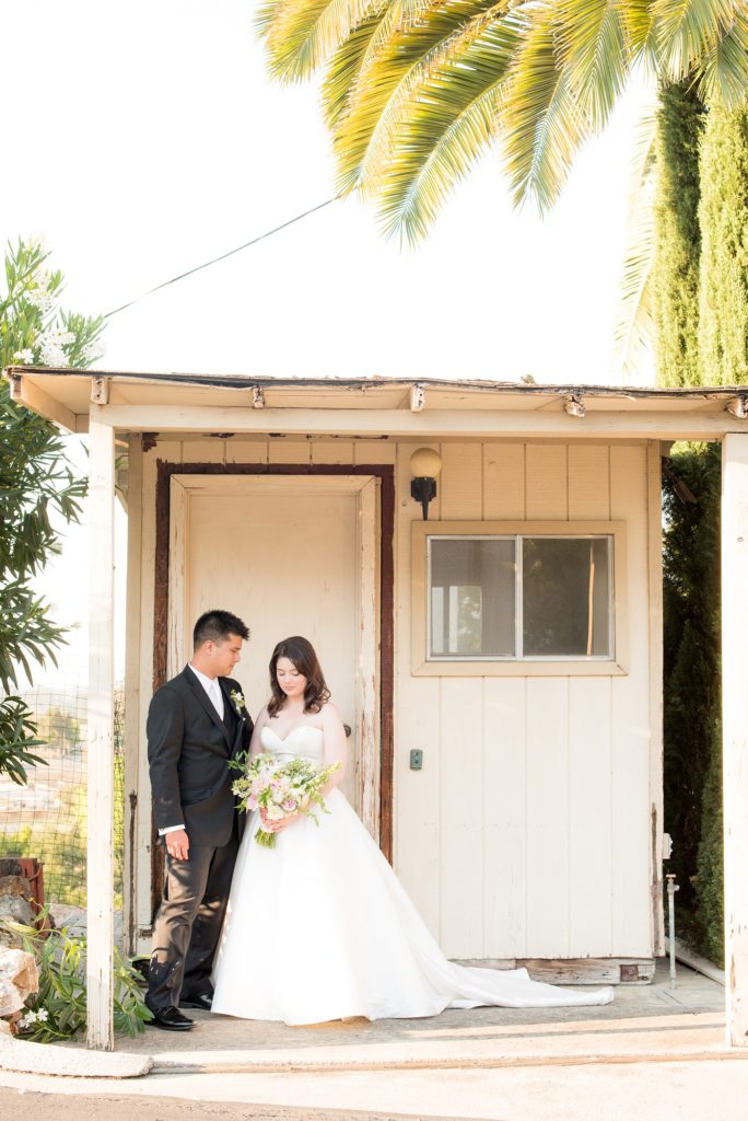A destination wedding picture with the bride and groom at a California winery in Los Gatos called Testarossa. Photos by Mikkel Paige Photography.