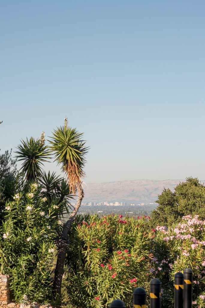 A destination wedding at a California winery in Los Gatos called Testarossa. Photos by Mikkel Paige Photography.