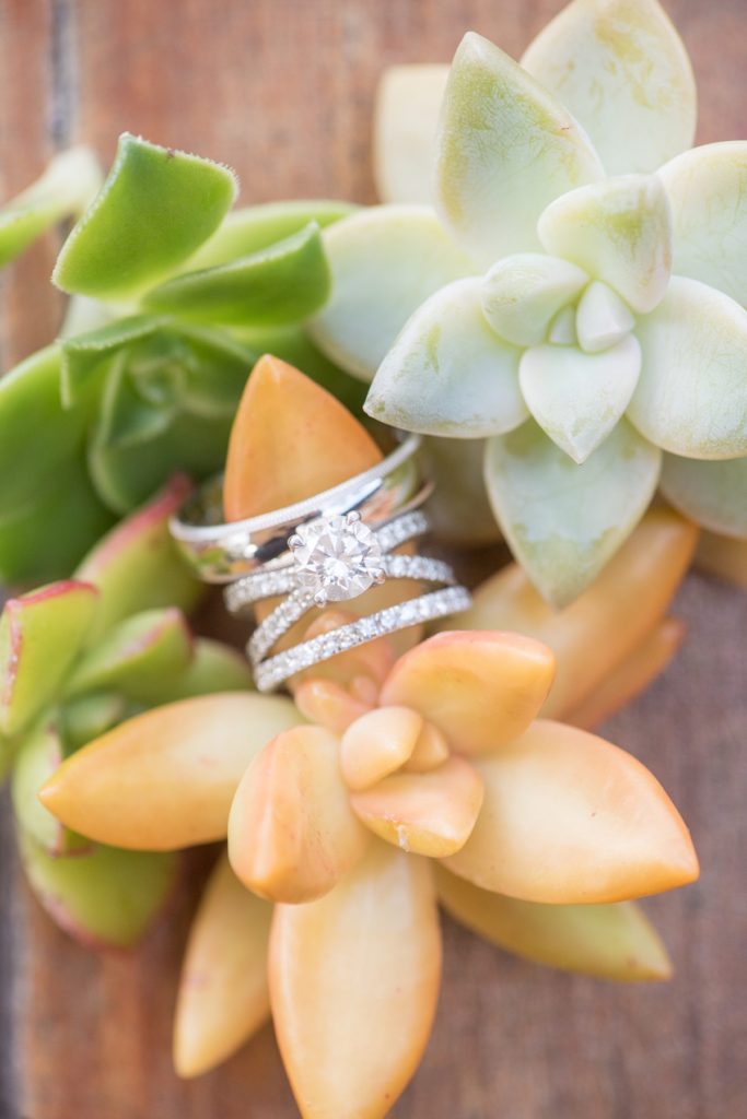 Estancia La Jolla wedding pictures of the rings on succulents native to California with destination photographer Mikkel Paige Photography.