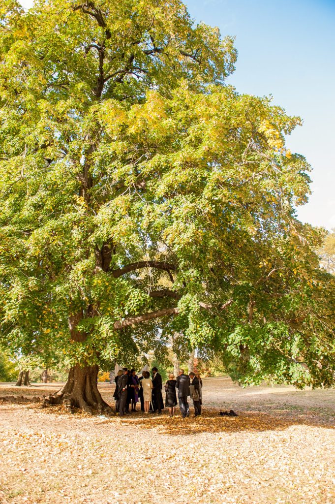 A small Brooklyn wedding elopement in NYC during Fall. Photos by Mikkel Paige Photography with a ceremony held at Fort Greene Park.