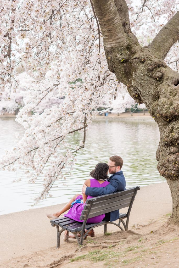 DC Cherry Blossoms Photography by destination wedding photographer Mikkel Paige Photography.