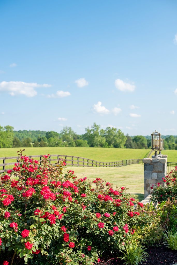 Mount Ida Farm wedding photos by Mikkel Paige Photography in Charlottesville, Virginia. Planning by Viva L'Event.
