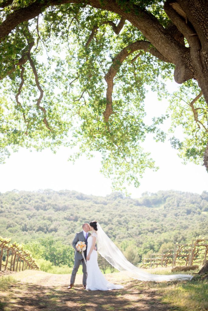 The bride and groom walk through amongst the vines at a small destination wedding at a vineyard venue in California at HammerSky Vineyards with Mikkel Paige Photography.