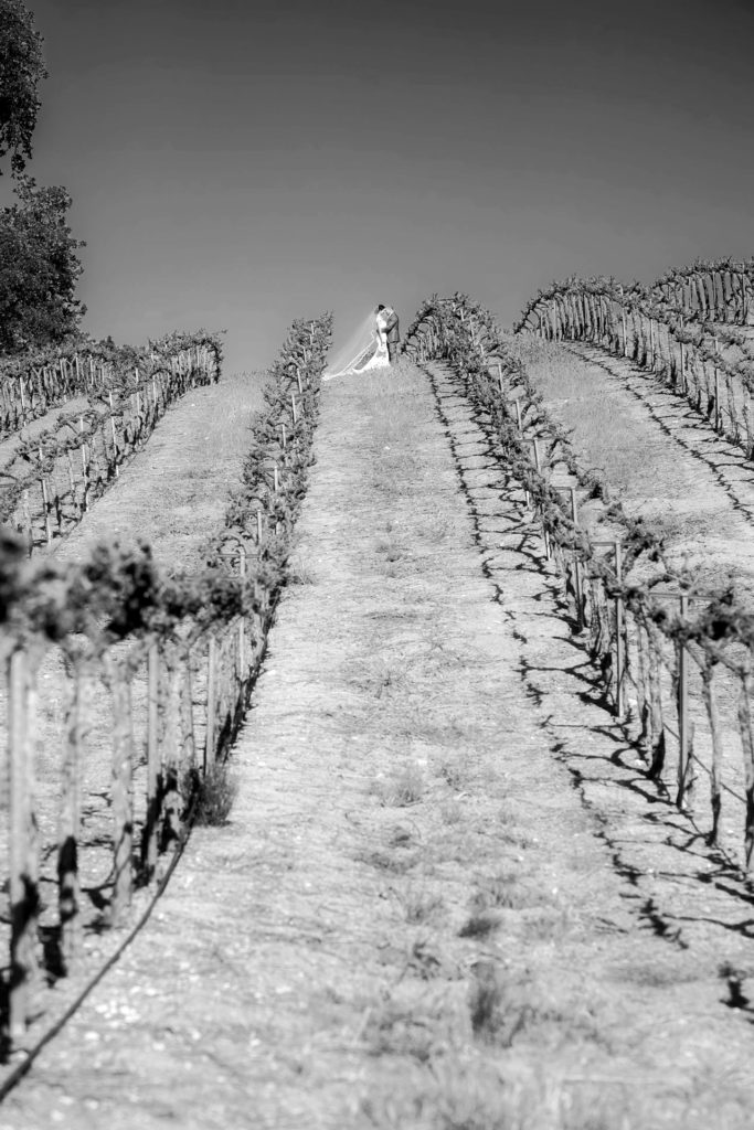 A small destination wedding at a vineyard venue in California at HammerSky Vineyards with Mikkel Paige Photography.